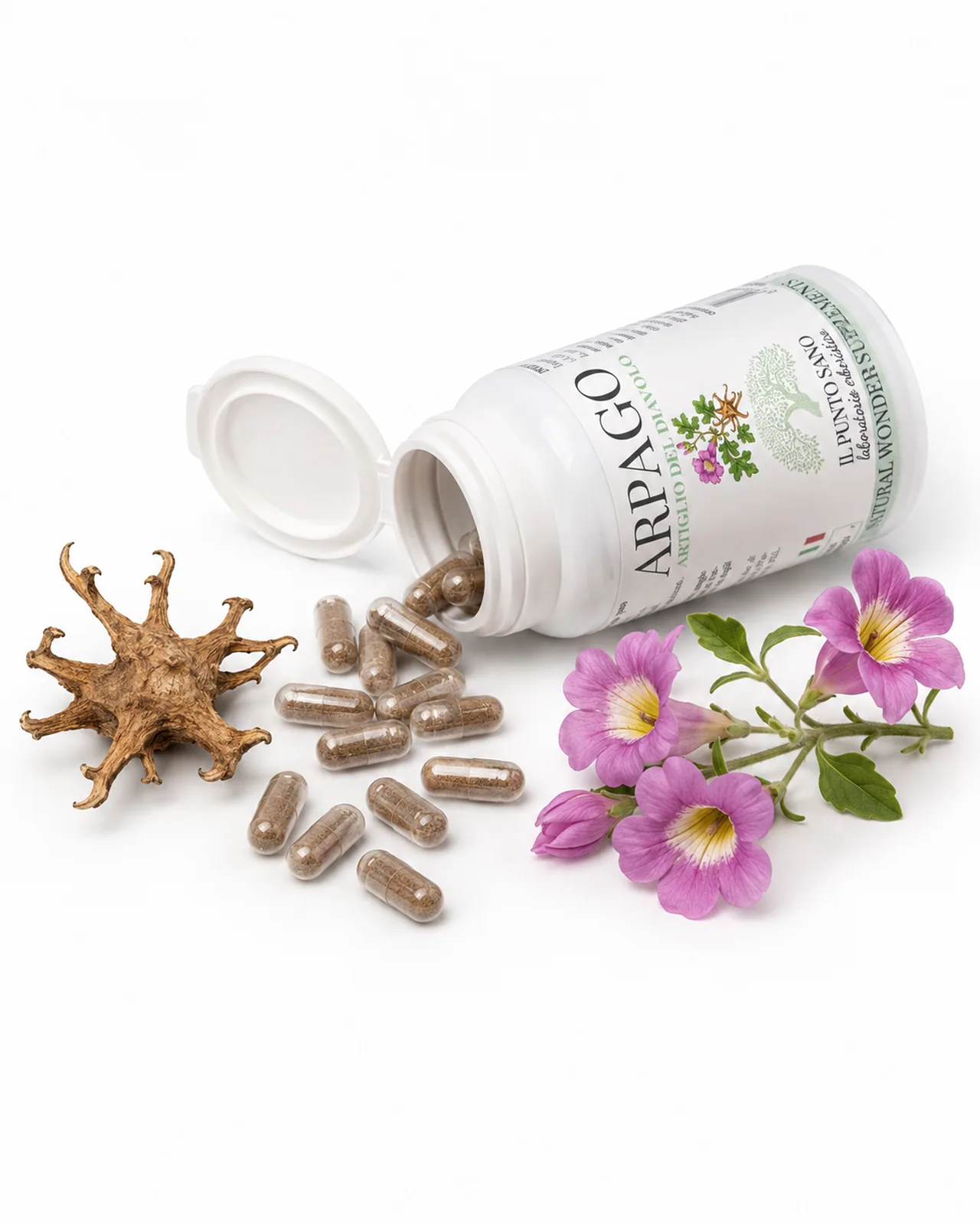 Arpago con Radice e Fiore di Artiglio del Diavolo – Il Punto Sano Arpago Artiglio del Diavolo Il Punto Sano con capsule vegetali, radice e fiore botanico
