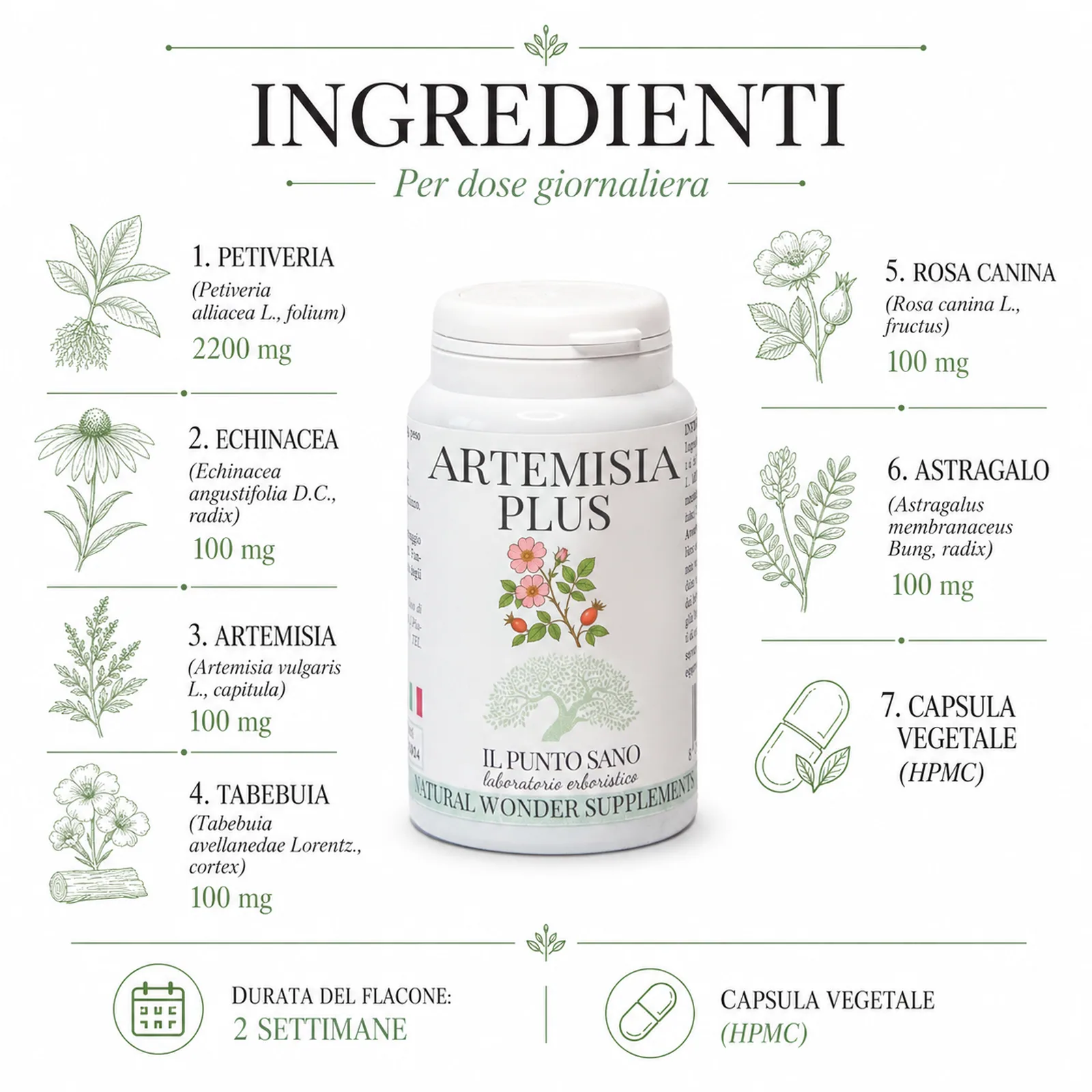 Artemisia Plus – Ingredienti per Dose Giornaliera Ingredienti di Artemisia Plus Il Punto Sano con composizione per dose giornaliera