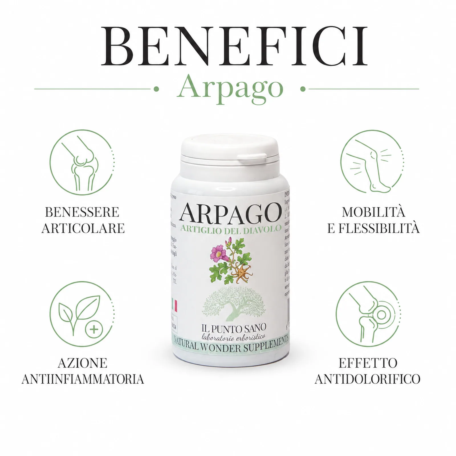 Benefici Arpago – Artiglio del Diavolo | Il Punto Sano Benefici Arpago Artiglio del Diavolo Il Punto Sano per articolazioni e mobilità