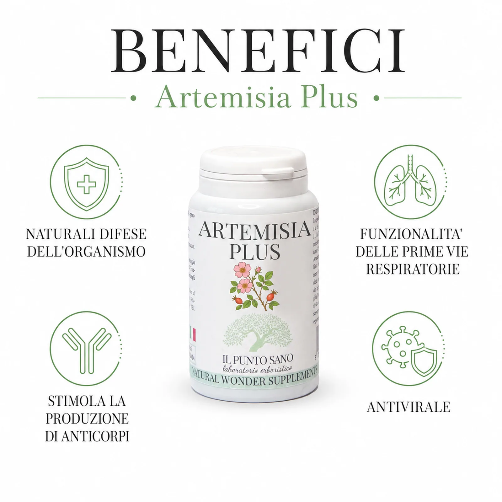 Benefici Artemisia Plus – Difese Naturali e Vie Respiratorie Benefici di Artemisia Plus Il Punto Sano per difese naturali e benessere respiratorio
