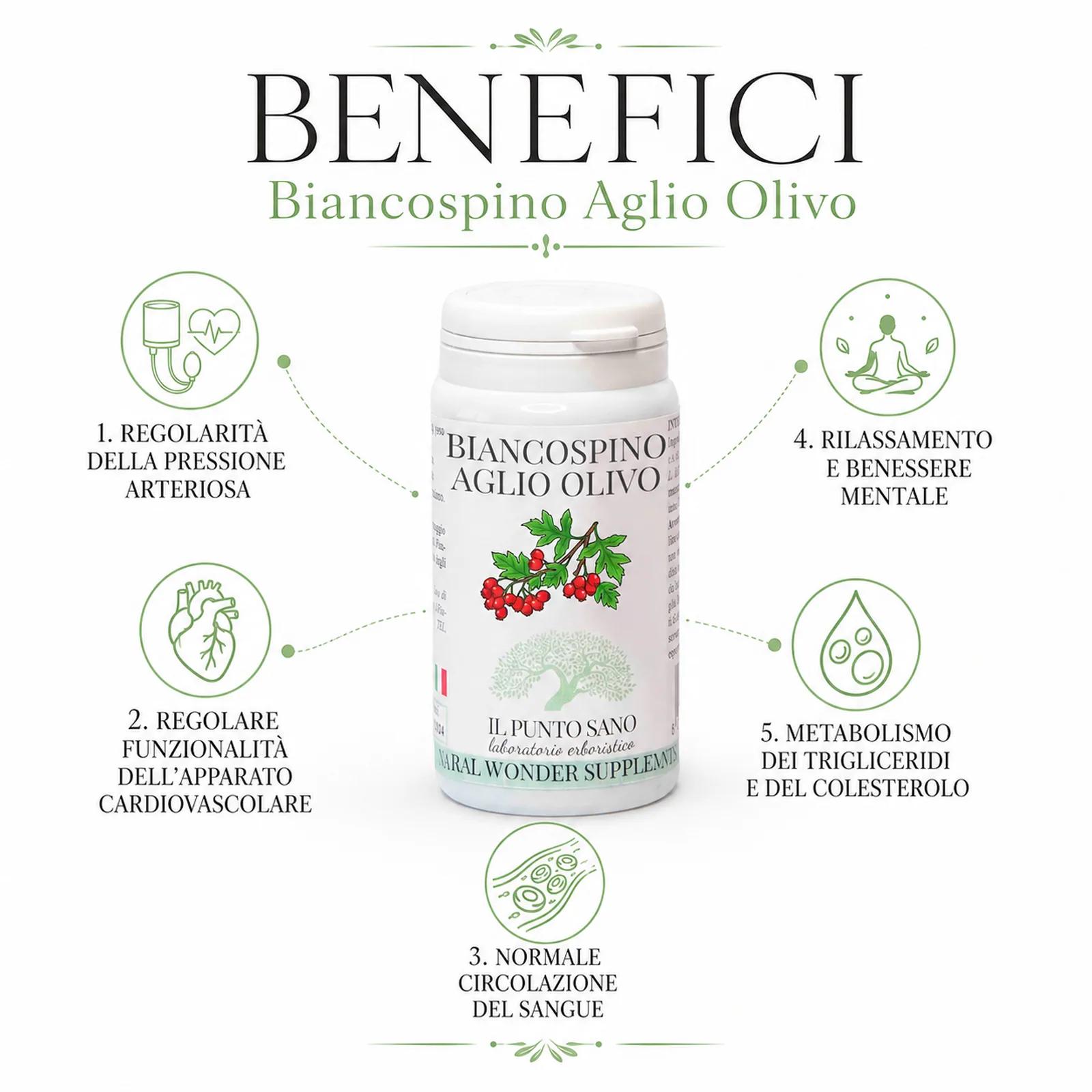 Benefici Biancospino Aglio Olivo – Supporto Cardiovascolare Naturale Benefici Biancospino Aglio Olivo Il Punto Sano per pressione, circolazione e benessere cardiovascolare