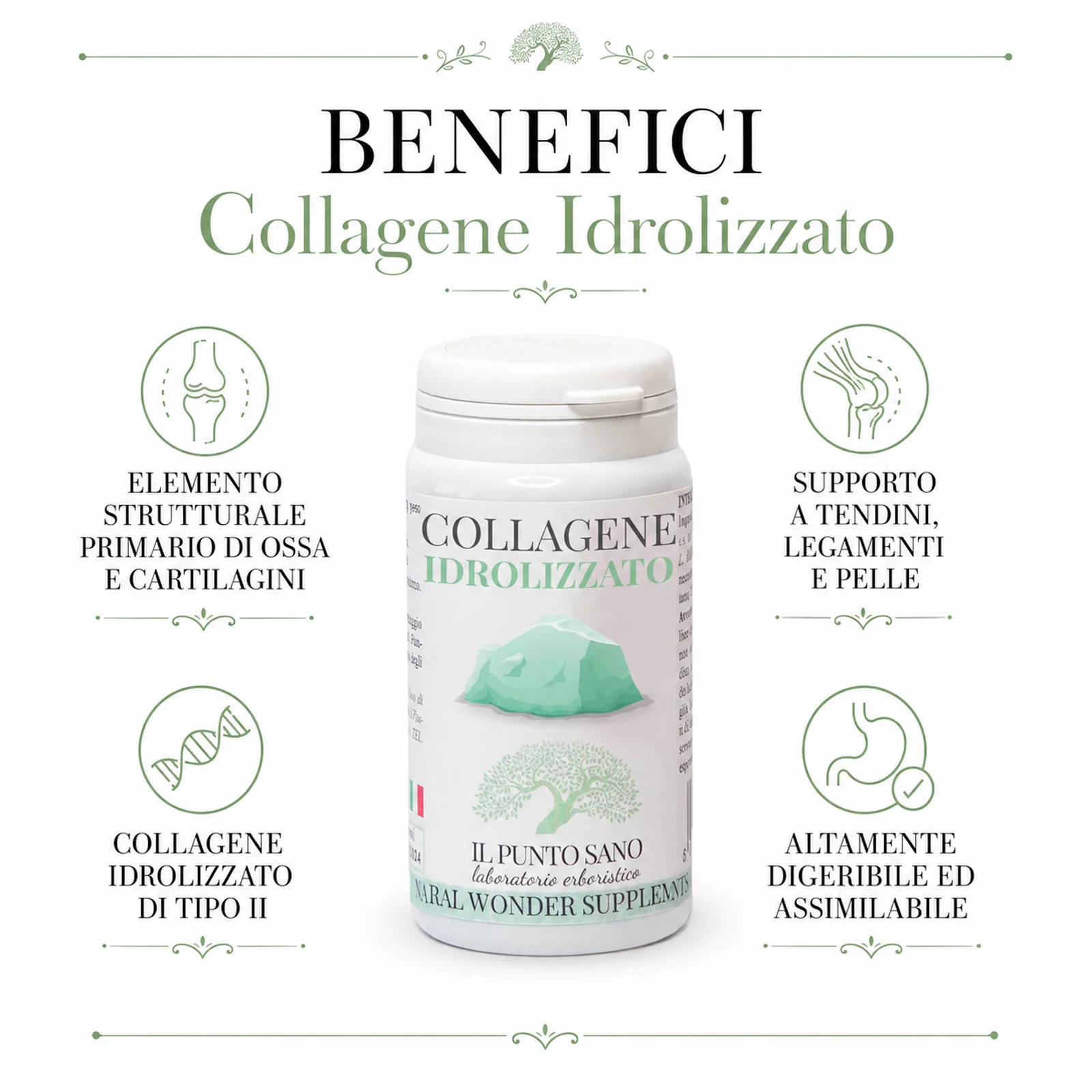 Benefici Collagene Idrolizzato – Il Punto Sano Infografica benefici Collagene Idrolizzato Il Punto Sano per supporto a ossa, cartilagini, tendini, legamenti, pelle e tessuto connettivo
