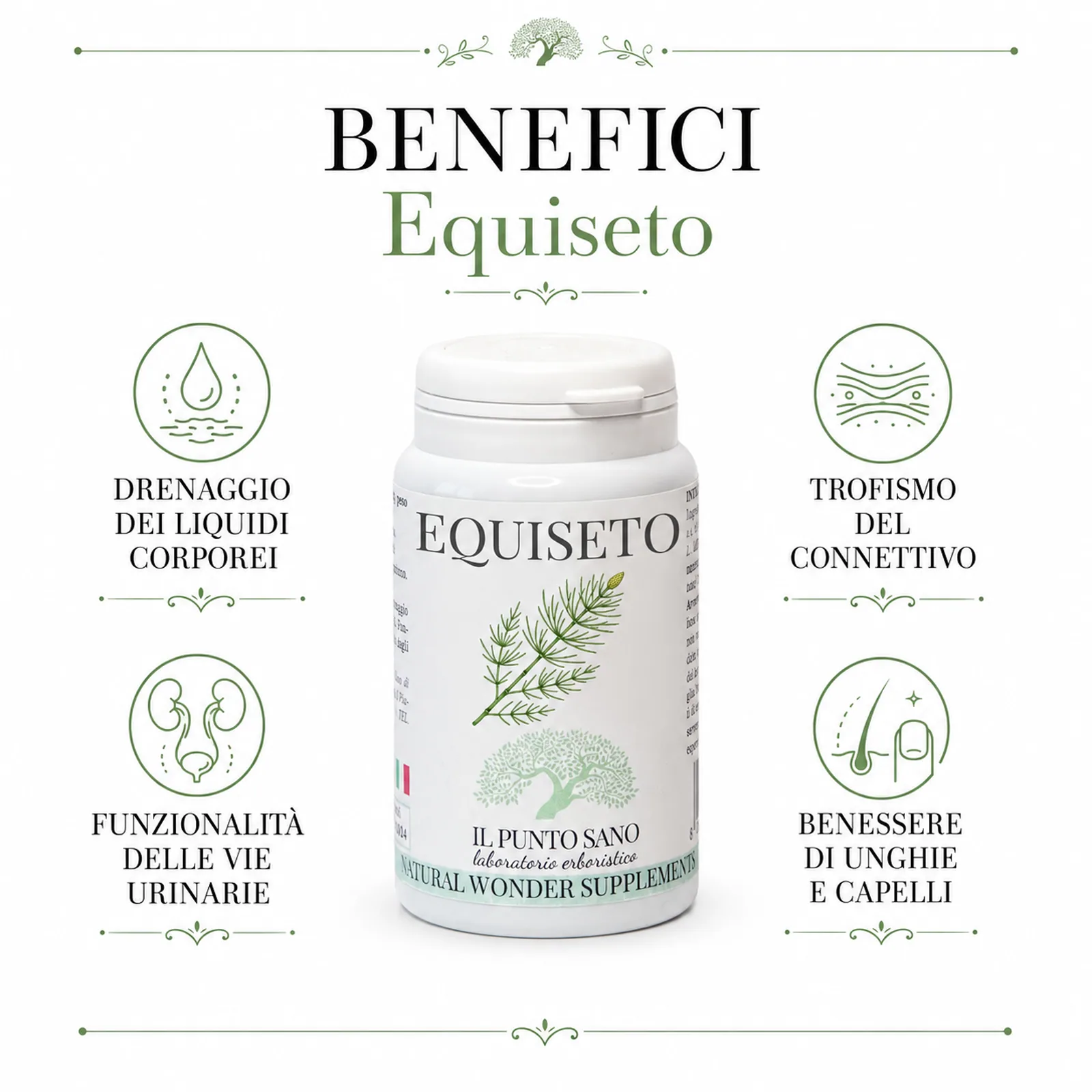 Benefici Equiseto – Drenaggio, connettivo, capelli e unghie Infografica benefici Equiseto Il Punto Sano: drenaggio dei liquidi corporei, funzionalità delle vie urinarie, trofismo del connettivo e benessere di unghie e capelli.