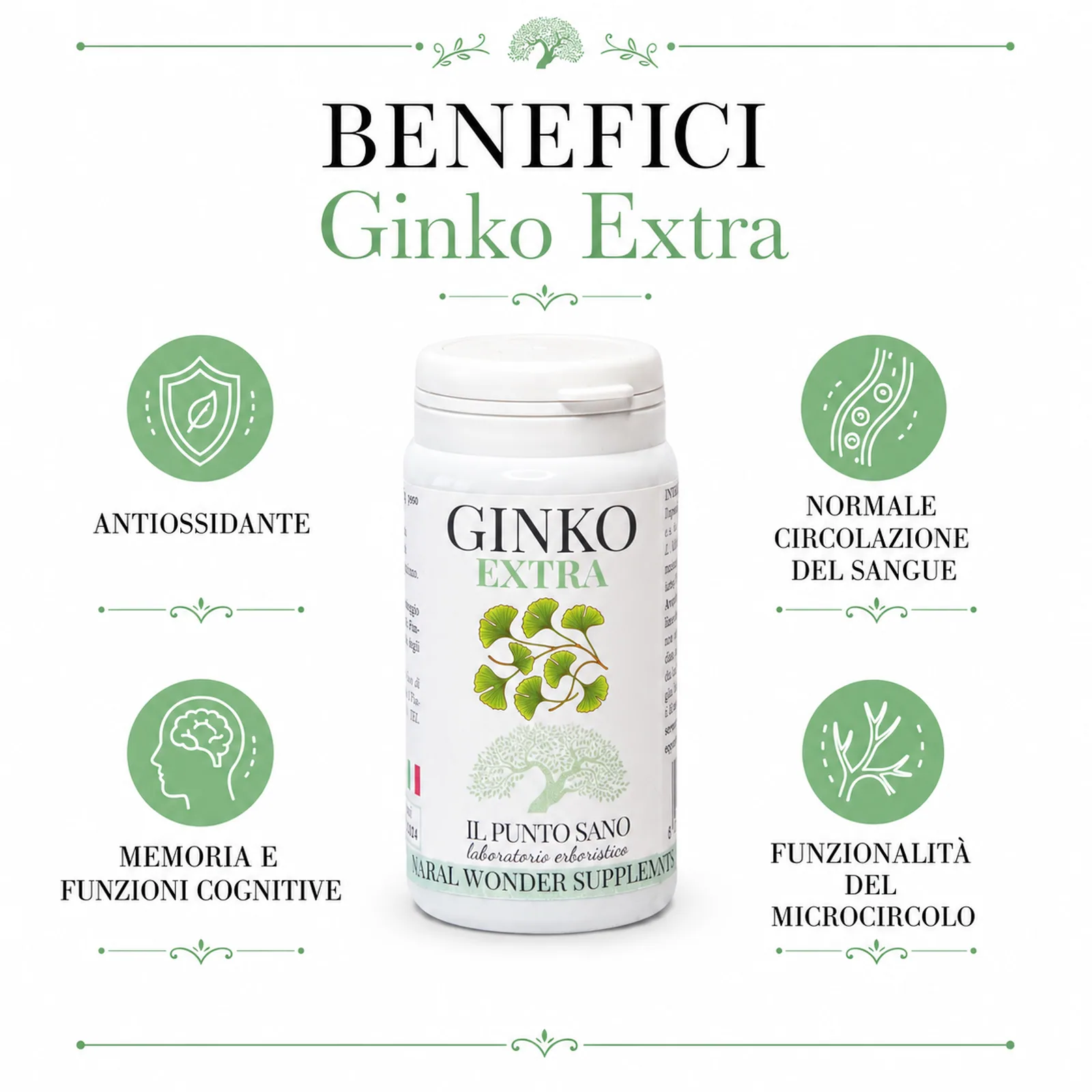Benefici Ginko Extra | Memoria e microcircolo Infografica benefici di Ginko Extra Il Punto Sano con focus su attività antiossidante, memoria e funzioni cognitive, normale circolazione del sangue e funzionalità del microcircolo.