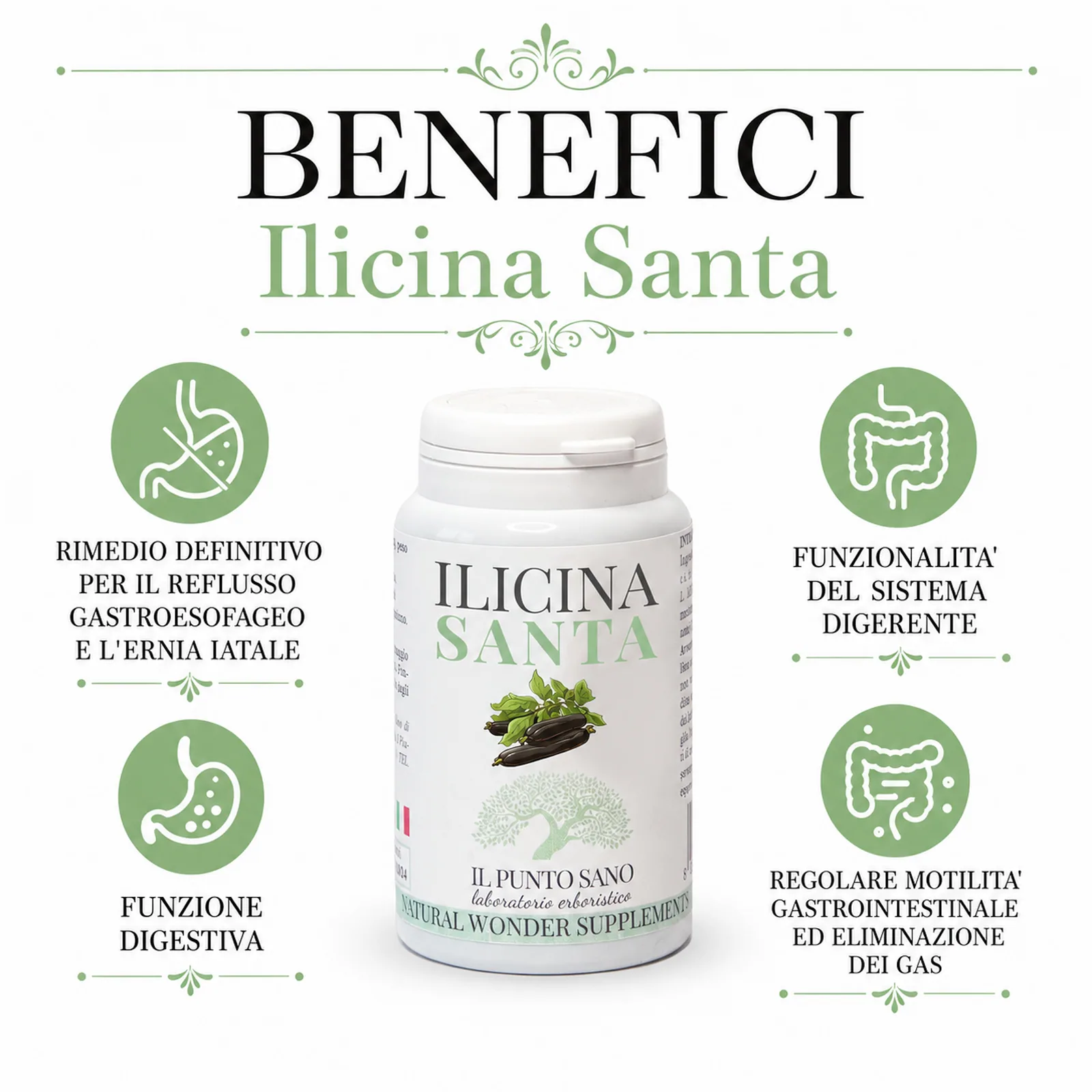 Benefici Ilicina Santa – Supporto digestivo naturale Infografica benefici di Ilicina Santa Il Punto Sano con focus su funzionalità digestiva, benessere gastroesofageo, motilità intestinale ed eliminazione dei gas.