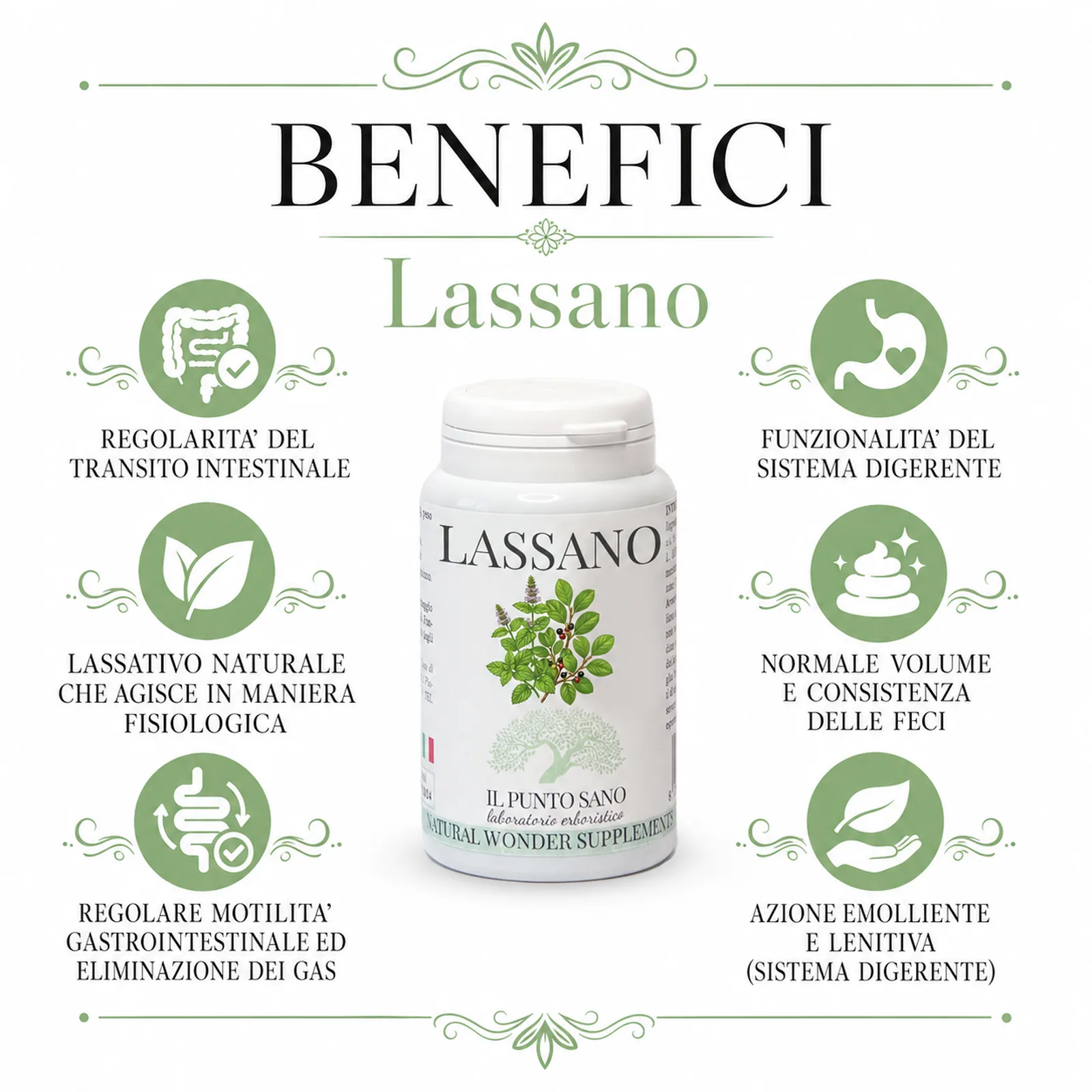 Benefici Lassano – Il Punto Sano Infografica benefici di Lassano Il Punto Sano con supporto alla regolarità del transito intestinale, funzionalità del sistema digerente, lassativo naturale che agisce in maniera fisiologica, normale volume e consistenza delle feci, regolare motilità gastrointestinale ed eliminazione dei gas e azione emolliente e lenitiva del sistema digerente.