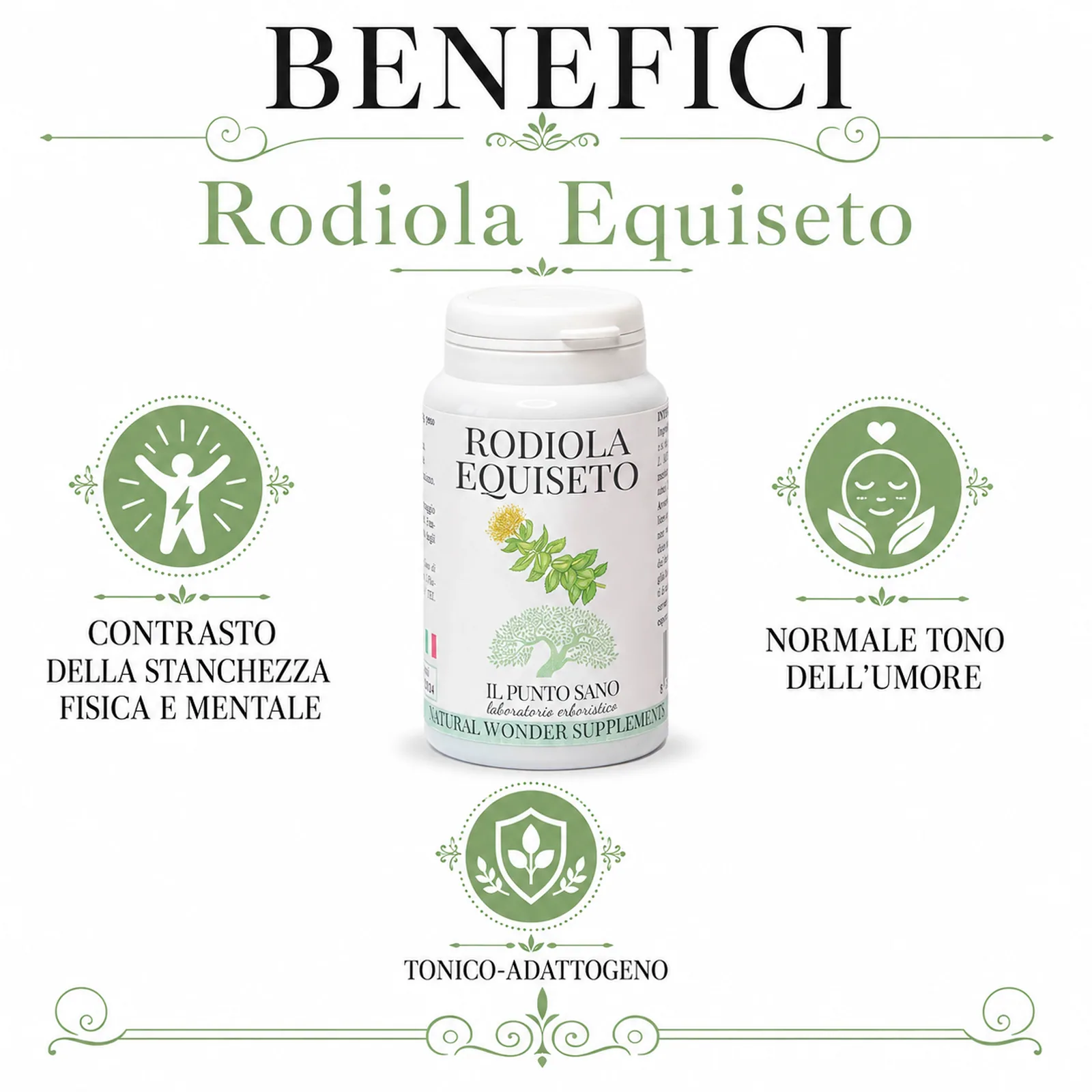 Benefici Rodiola Equiseto Il Punto Sano Infografica benefici Rodiola Equiseto Il Punto Sano con flacone al centro e indicazioni su contrasto della stanchezza fisica e mentale, normale tono dell’umore e azione tonico-adattogena.