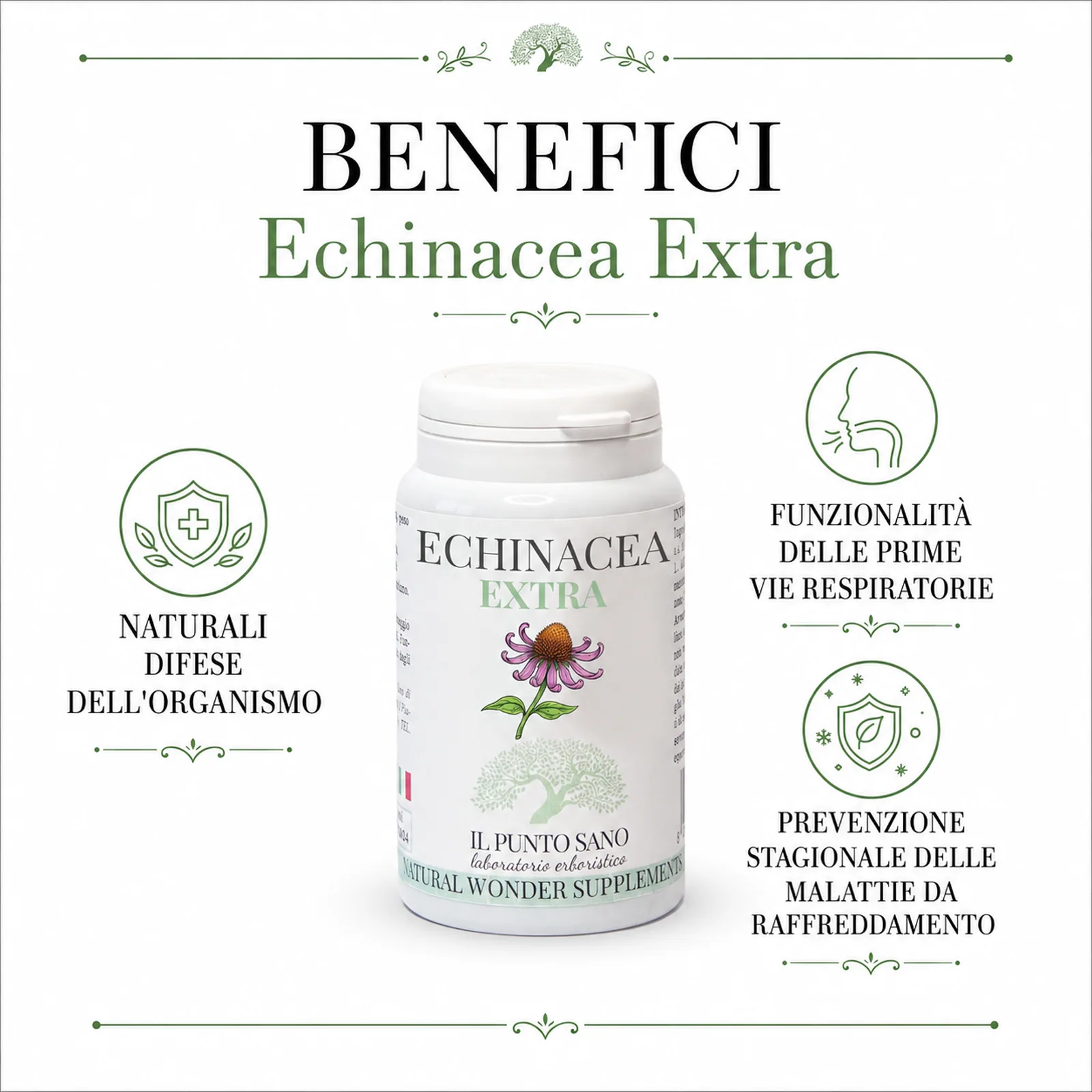 Benefici Echinacea Extra Infografica benefici Echinacea Extra Il Punto Sano, integratore alimentare per naturali difese dell’organismo e funzionalità delle prime vie respiratorie