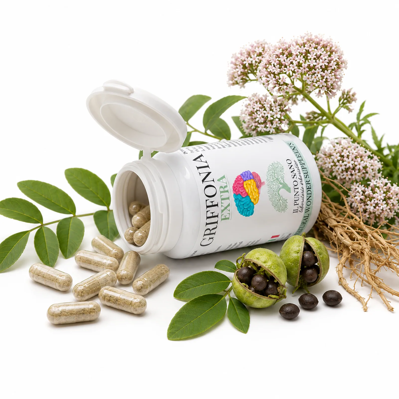 Griffonia Extra – Integratore con Griffonia e Valeriana Griffonia Extra Il Punto Sano con capsule vegetali, semi di Griffonia simplicifolia e valeriana, formula naturale per il rilassamento, il sonno e il normale tono dell’umore.