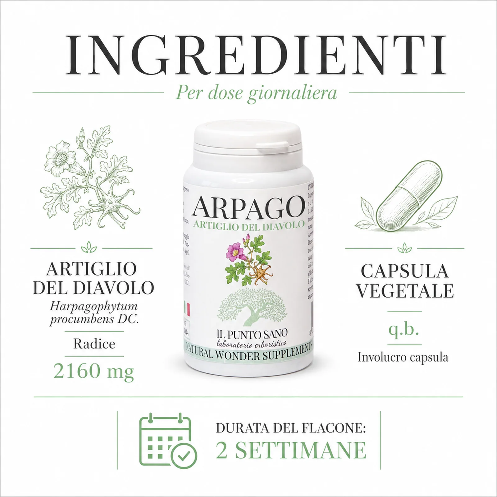 Ingredienti Arpago – Artiglio del Diavolo | Il Punto Sano Ingredienti Arpago Artiglio del Diavolo Il Punto Sano con dosaggio giornaliero e capsula vegetale