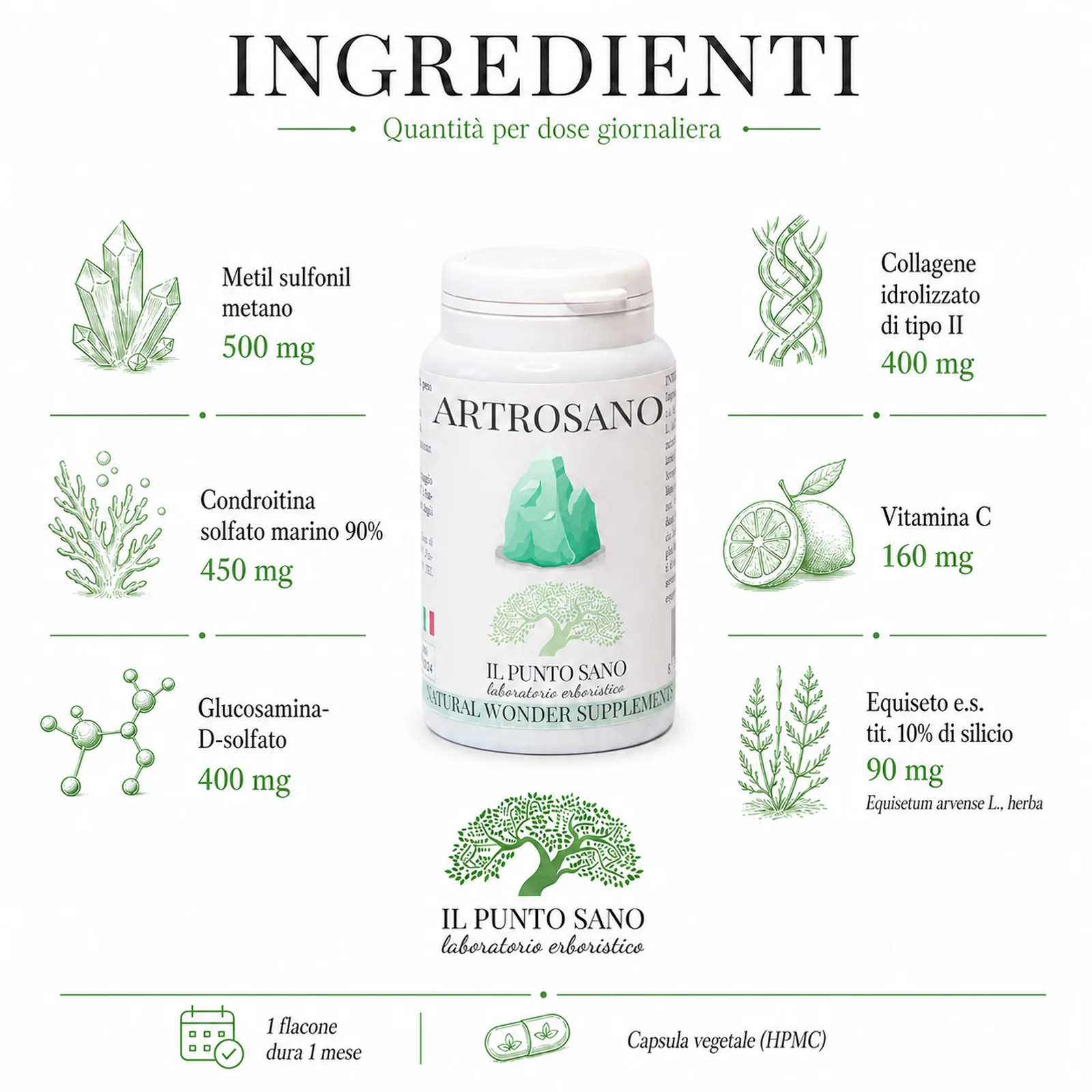 Ingredienti Artrosano – Formula per articolazioni e mobilità Infografica ingredienti di Artrosano Il Punto Sano con metil sulfonil metano, condroitina, glucosamina, collagene idrolizzato di tipo II, vitamina C ed equiseto per il supporto del benessere articolare e della mobilità