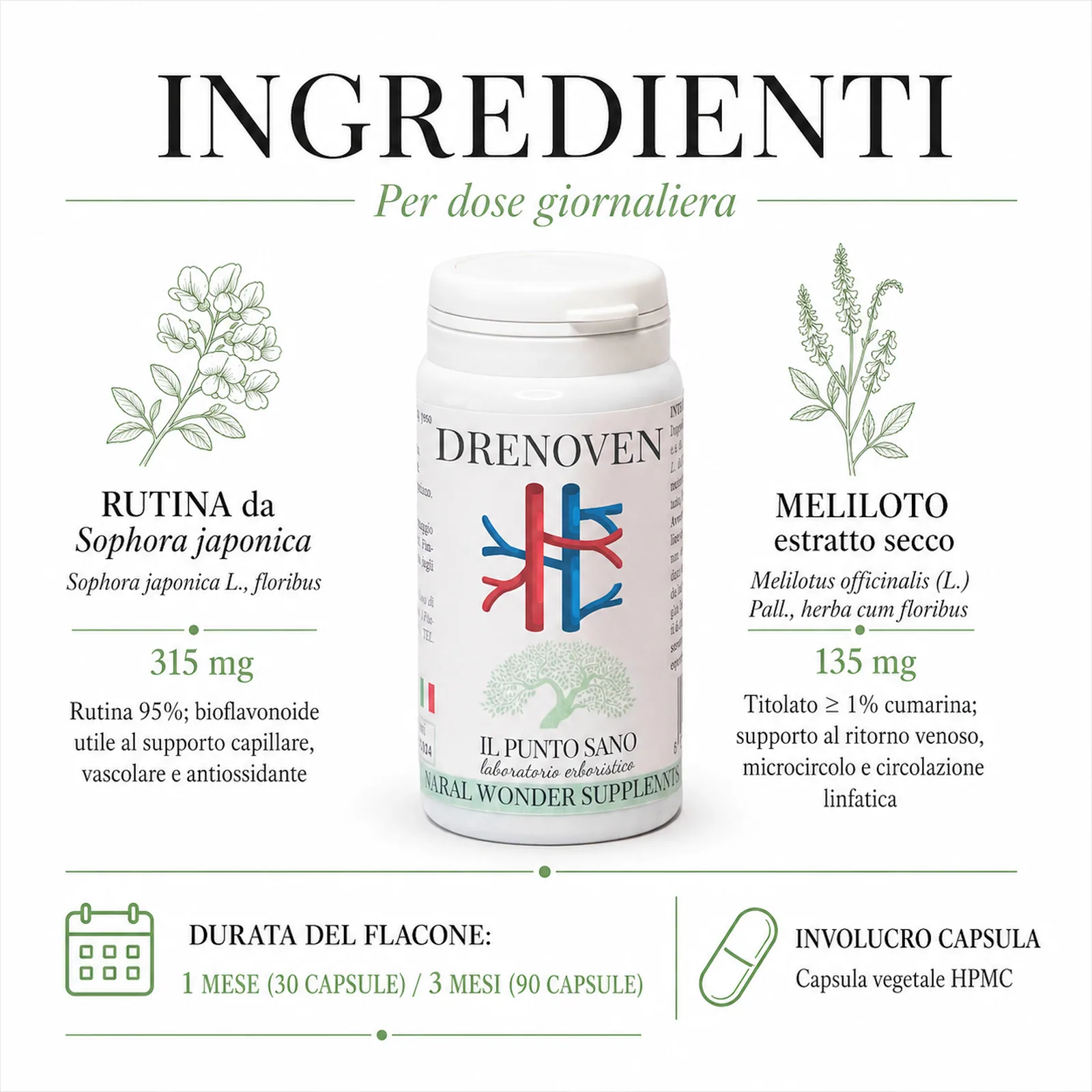 Ingredienti Drenoven – Rutina e Meliloto Infografica ingredienti Drenoven con rutina da Sophora japonica 315 mg e meliloto estratto secco 135 mg per dose giornaliera