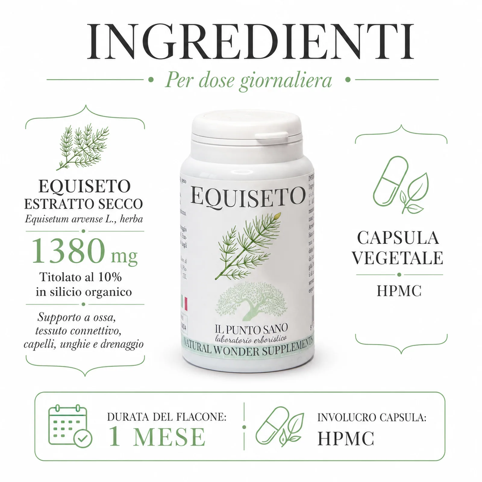 Ingredienti Equiseto – Estratto secco titolato al 10% in silicio Infografica ingredienti Equiseto Il Punto Sano con estratto secco di Equisetum arvense 1380 mg titolato al 10% in silicio organico e capsula vegetale HPMC.