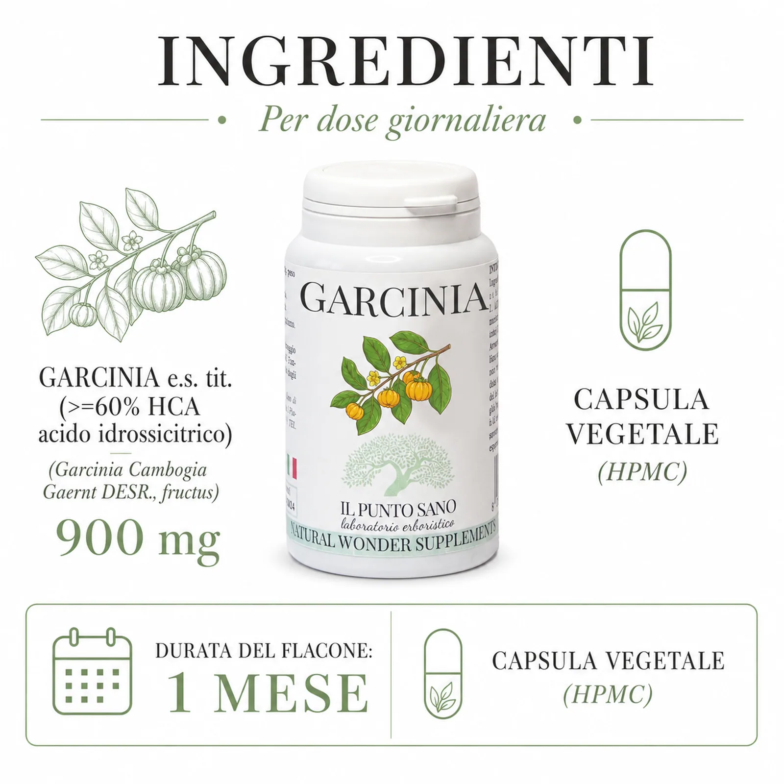 Ingredienti Garcinia – Estratto titolato in HCA Infografica ingredienti Garcinia Il Punto Sano con Garcinia cambogia estratto secco titolato almeno al 60% in HCA, 900 mg per dose giornaliera.