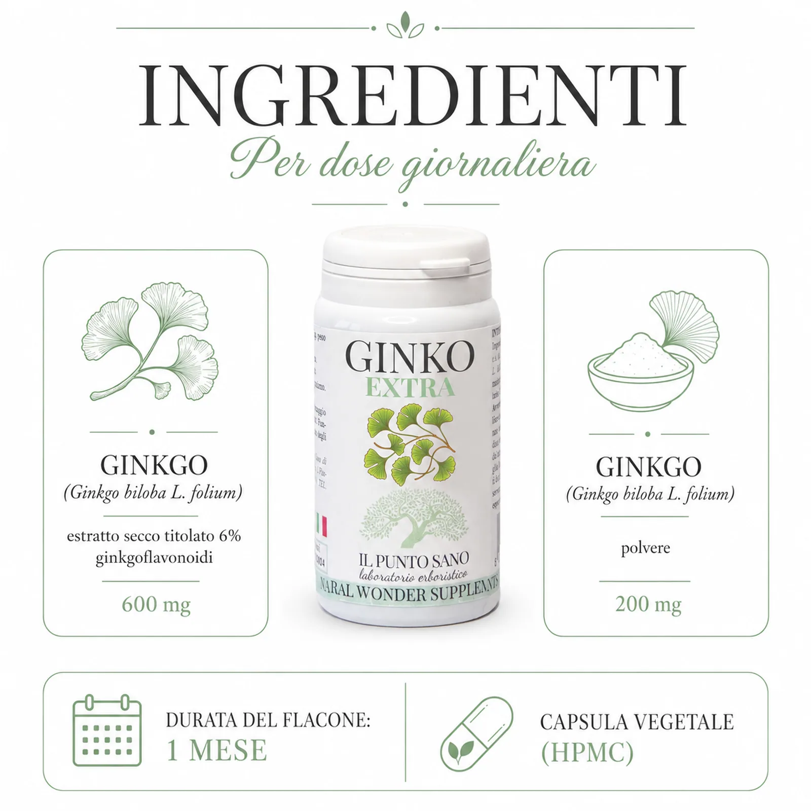 Ingredienti Ginko Extra | Ginkgo biloba per dose giornaliera Infografica ingredienti di Ginko Extra Il Punto Sano con Ginkgo biloba estratto secco titolato al 6% in ginkgoflavonoidi, polvere di Ginkgo, capsula vegetale HPMC e durata del flacone di 1 mese.