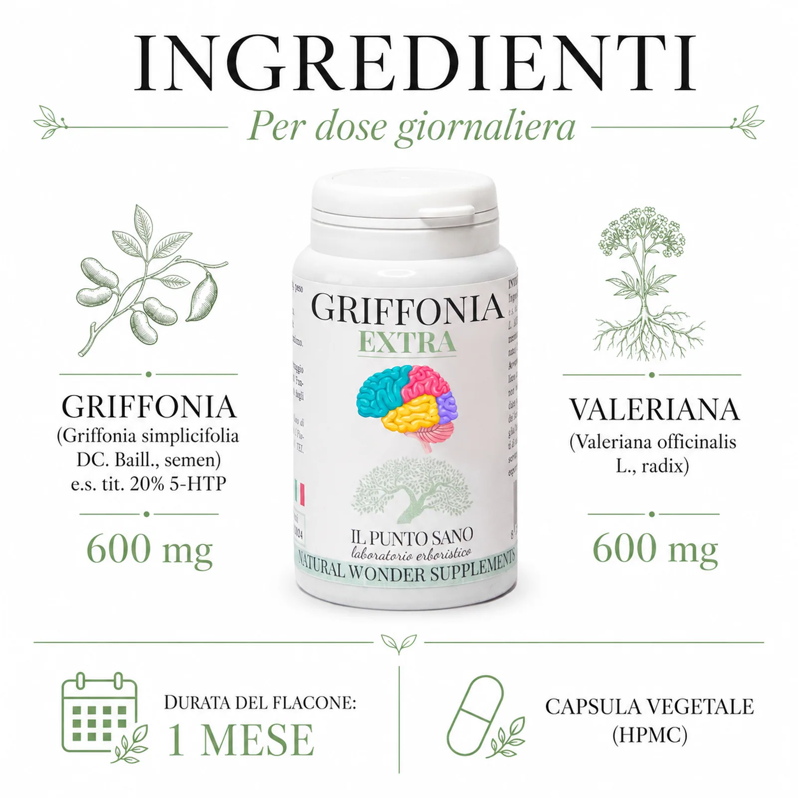Ingredienti Griffonia Extra | Griffonia 5-HTP e Valeriana Infografica ingredienti di Griffonia Extra Il Punto Sano con Griffonia estratto secco titolato al 20% in 5-HTP, Valeriana officinalis radix e capsula vegetale HPMC.