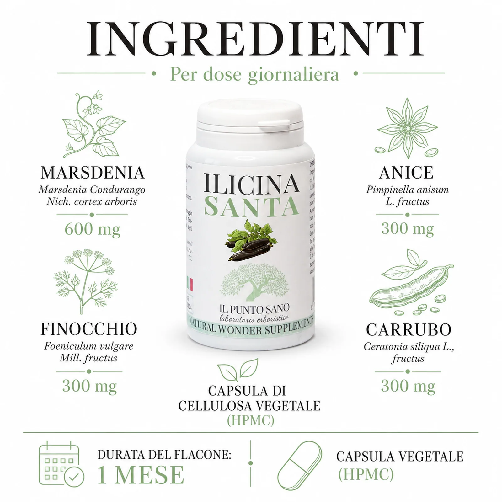 Ingredienti Ilicina Santa – Per dose giornaliera Infografica ingredienti di Ilicina Santa Il Punto Sano con Marsdenia condurango 600 mg, anice 300 mg, finocchio 300 mg, carrubo 300 mg e capsula vegetale HPMC.