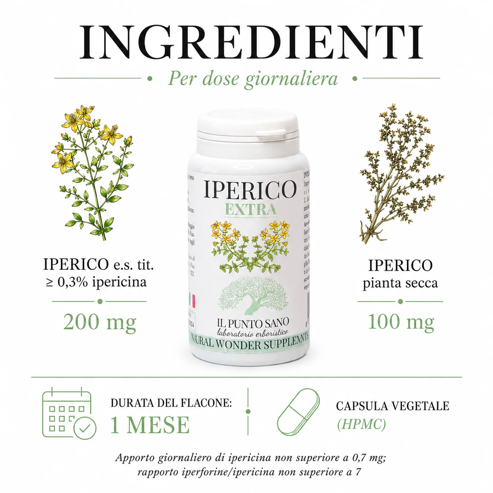 Infografica ingredienti di Iperico Extra Il Punto Sano con iperico estratto secco titolato almeno 0,3% ipericina 200 mg, iperico pianta secca 100 mg e capsula vegetale HPMC.