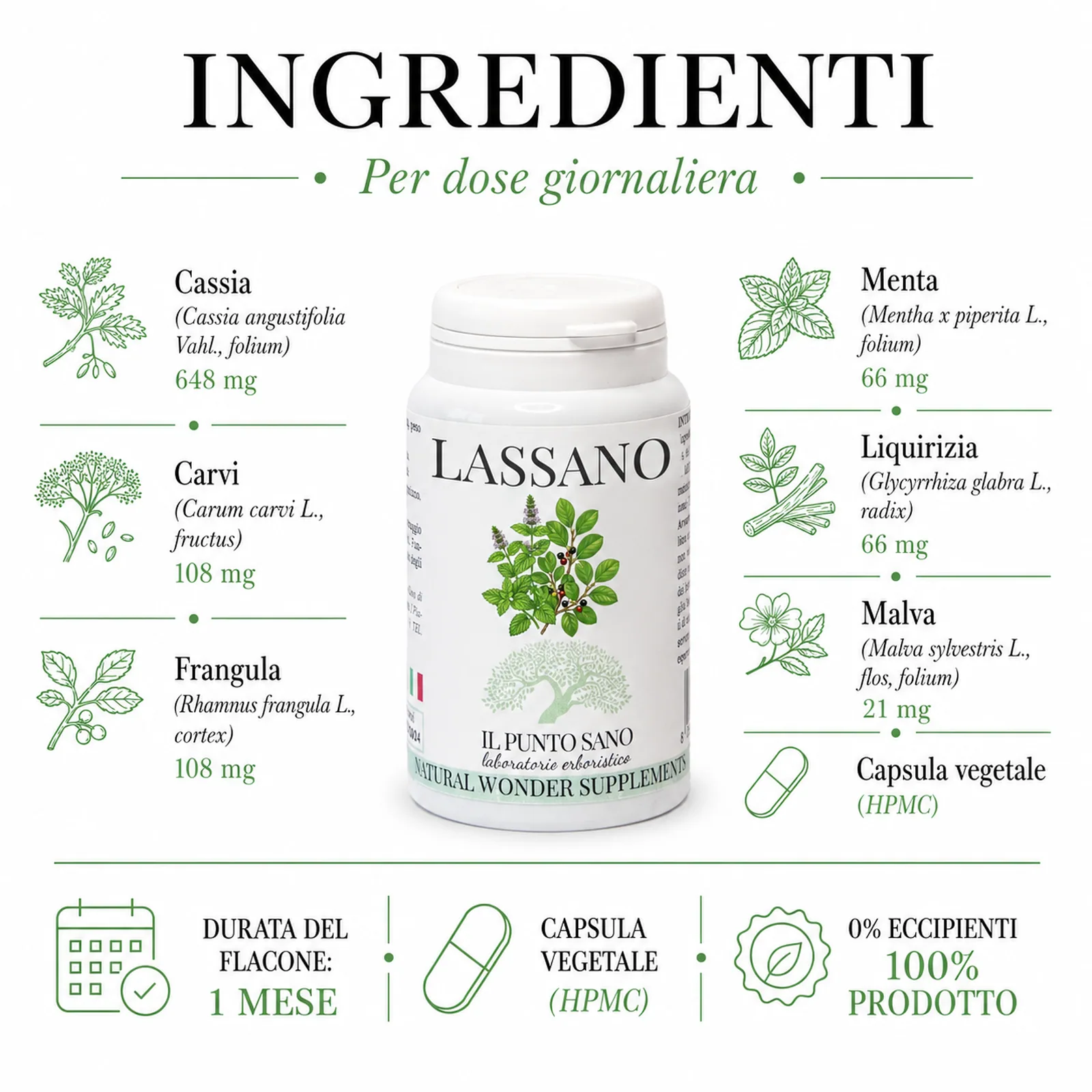 Ingredienti Lassano – Il Punto Sano Infografica ingredienti di Lassano Il Punto Sano con cassia 648 mg, carvi 108 mg, frangula 108 mg, menta 66 mg, liquirizia 66 mg, malva 21 mg, capsula vegetale HPMC, durata del flacone 1 mese e indicazione 0% eccipienti 100% prodotto.