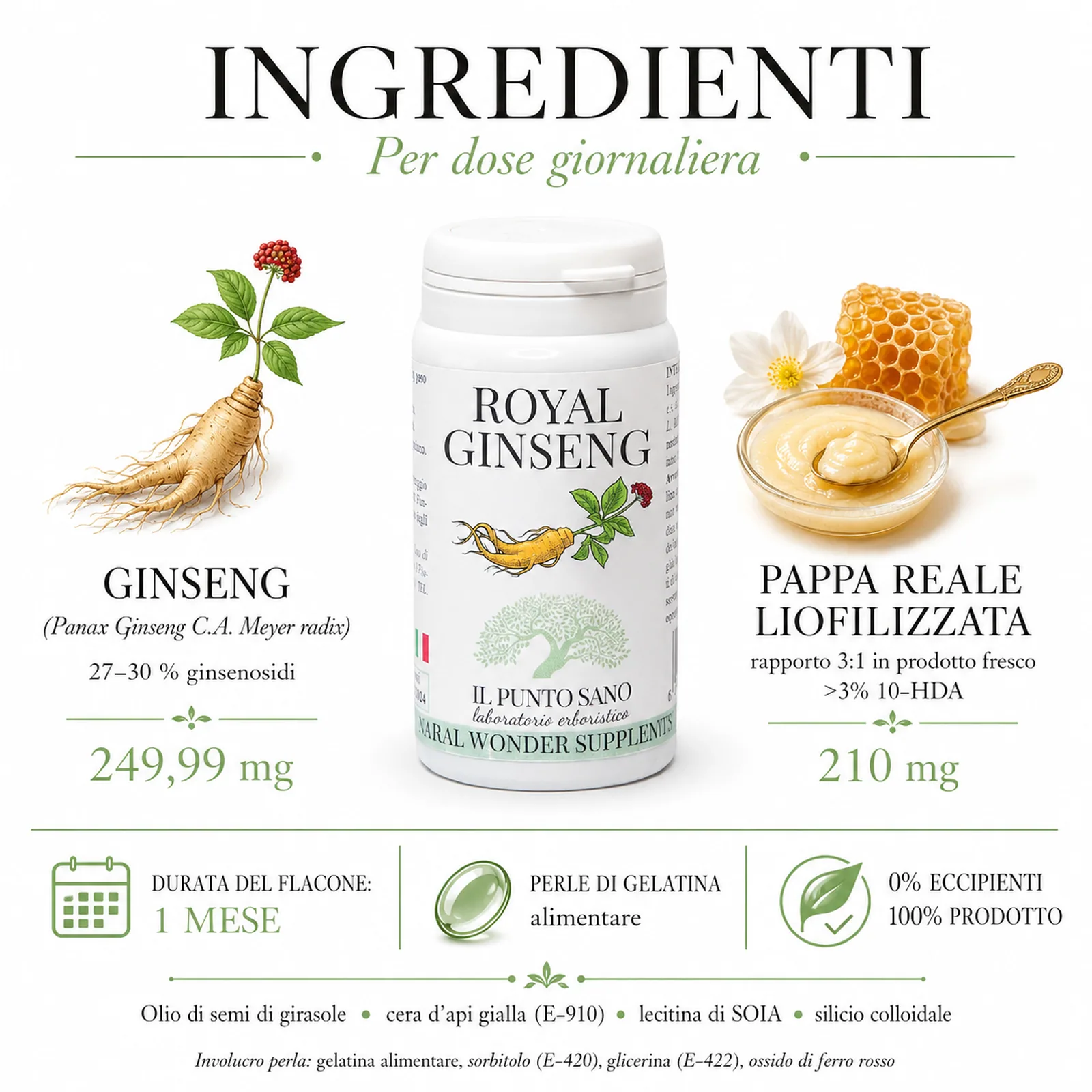 Ingredienti Royal Ginseng Infografica ingredienti Royal Ginseng Il Punto Sano con ginseng titolato 27-30% ginsenosidi 249,99 mg, pappa reale liofilizzata 210 mg e perle di gelatina alimentare.