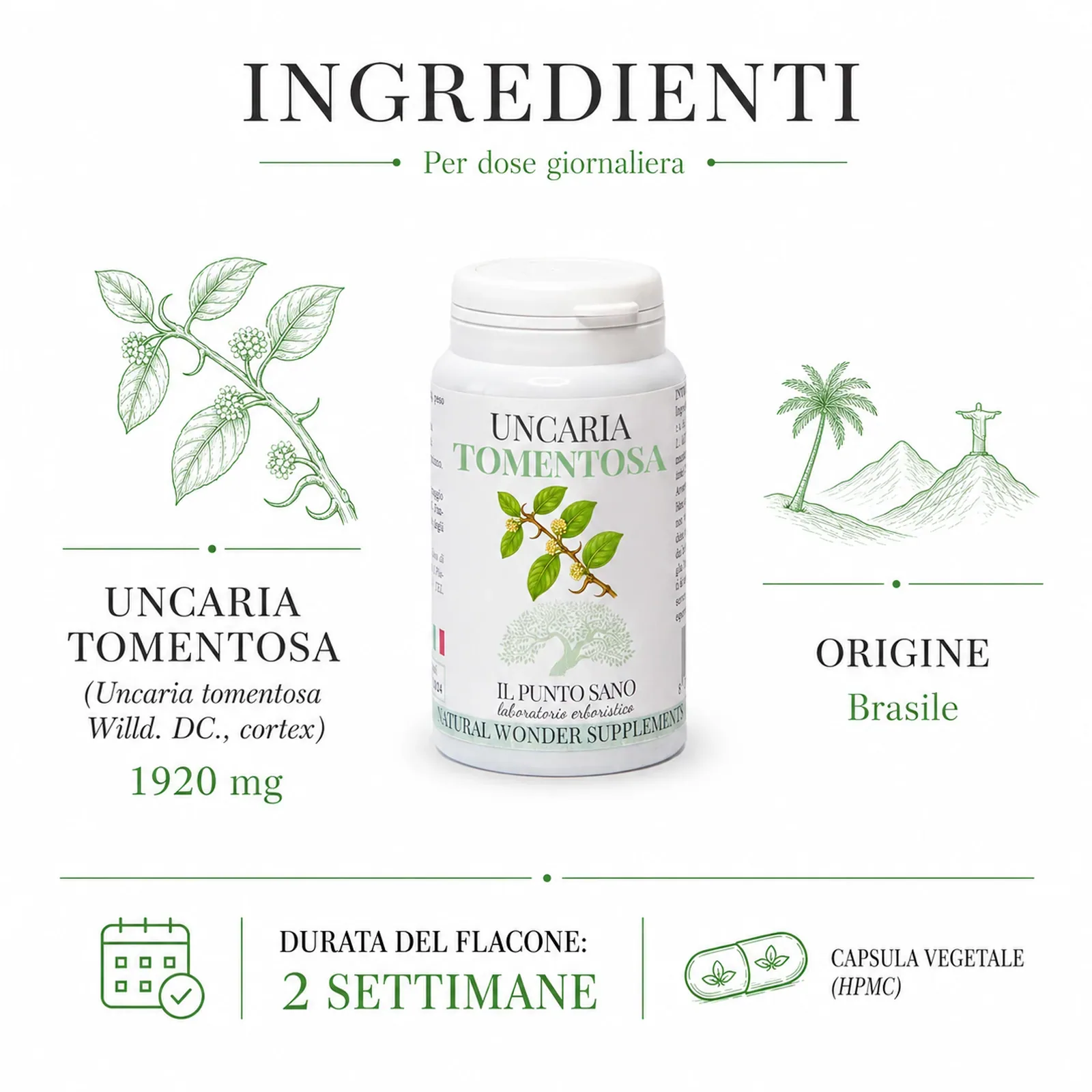 Ingredienti Uncaria Tomentosa – Origine Brasile e capsule vegetali Infografica ingredienti di Uncaria Tomentosa Il Punto Sano con Uncaria tomentosa corteccia 1920 mg per dose giornaliera, origine Brasile e capsula vegetale HPMC, integratore alimentare pensato per supportare le naturali difese dell’organismo, la funzionalità articolare e il benessere generale