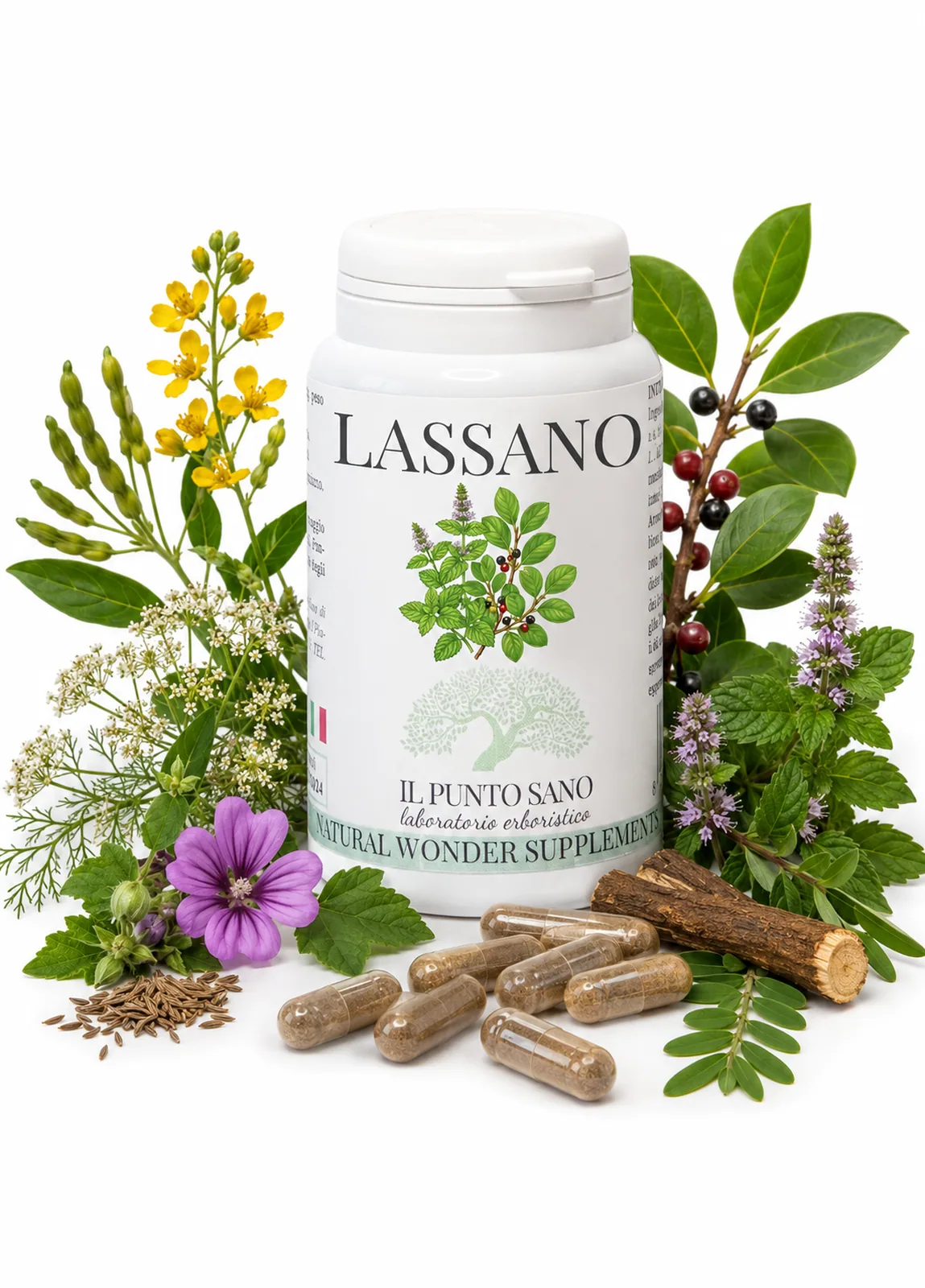 Lassano con piante e capsule – Il Punto Sano Composizione creativa di Lassano Il Punto Sano con flacone, capsule e piante della formula, tra cui cassia, carvi, frangula, menta, liquirizia e malva, su sfondo chiaro.