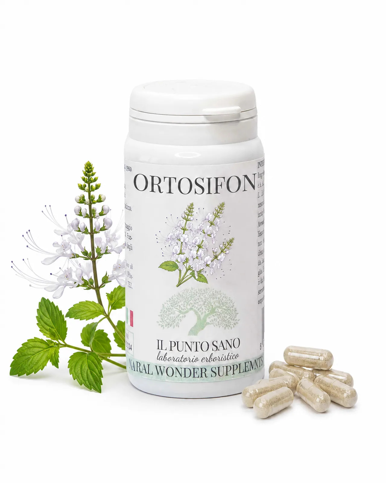 Ortosifon con capsule vegetali e pianta Flacone di Ortosifon Il Punto Sano con pianta di Orthosiphon stamineus e capsule vegetali trasparenti su sfondo bianco.