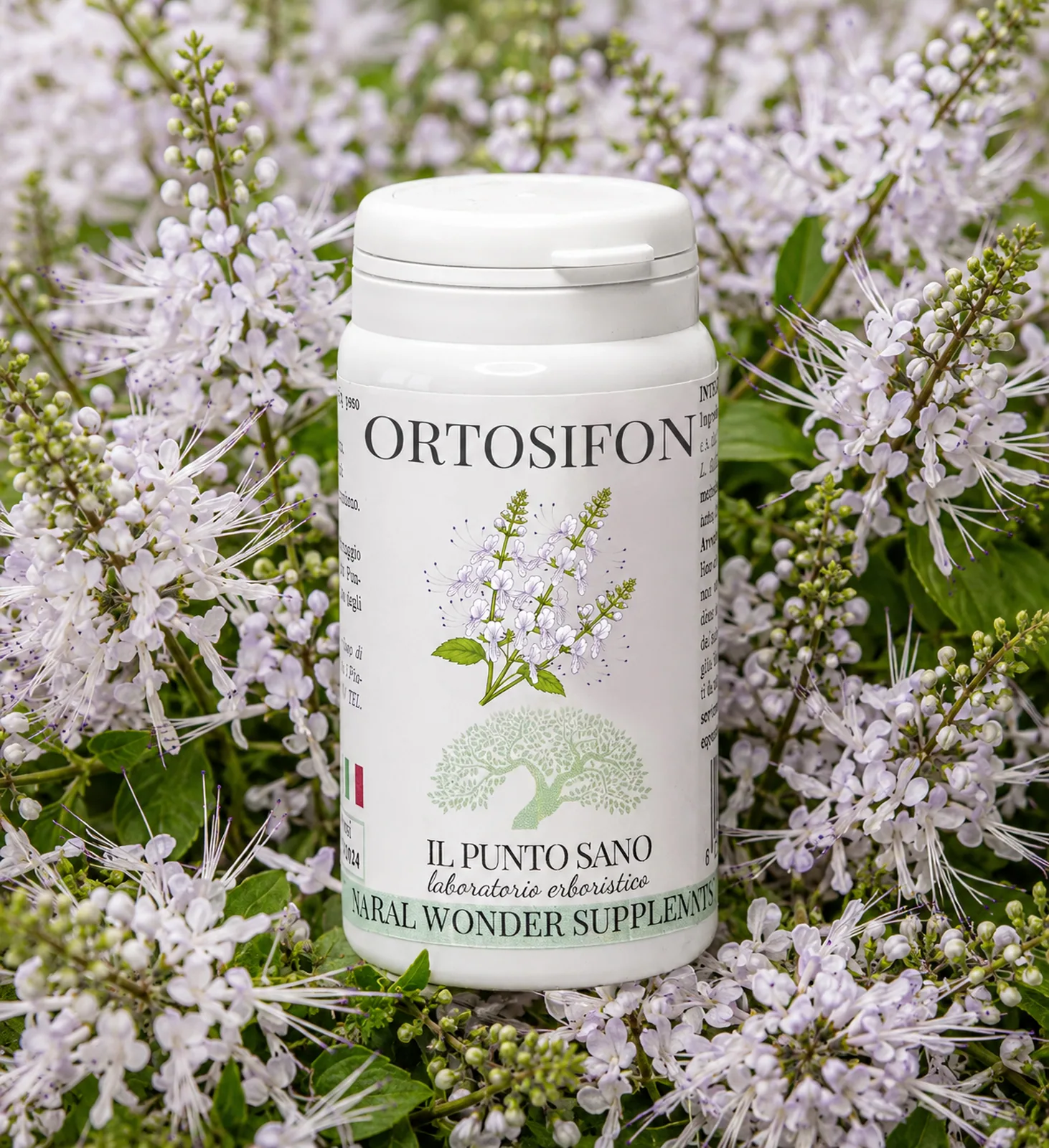 Ortosifon con fiori di Orthosiphon Flacone di Ortosifon Il Punto Sano immerso tra fiori di Orthosiphon stamineus, pianta utile per il drenaggio dei liquidi corporei e il benessere delle vie urinarie.