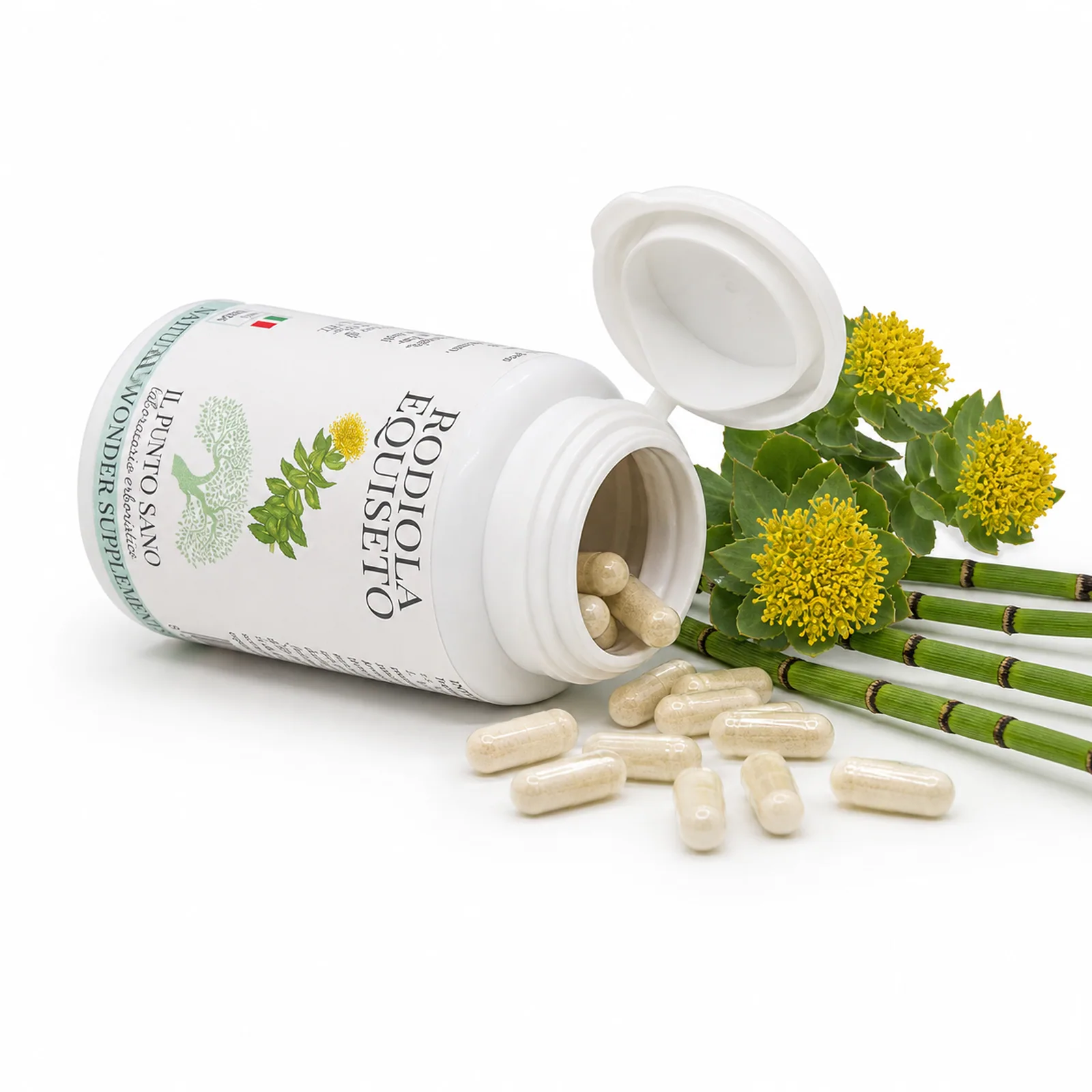 Rodiola Equiseto – Flacone aperto con capsule e piante officinali Rodiola Equiseto Il Punto Sano con flacone aperto, capsule e piante officinali, integratore alimentare formulato con rodiola ed equiseto per supportare tono fisico e mentale, vitalità quotidiana e fisiologico drenaggio dei liquidi corporei