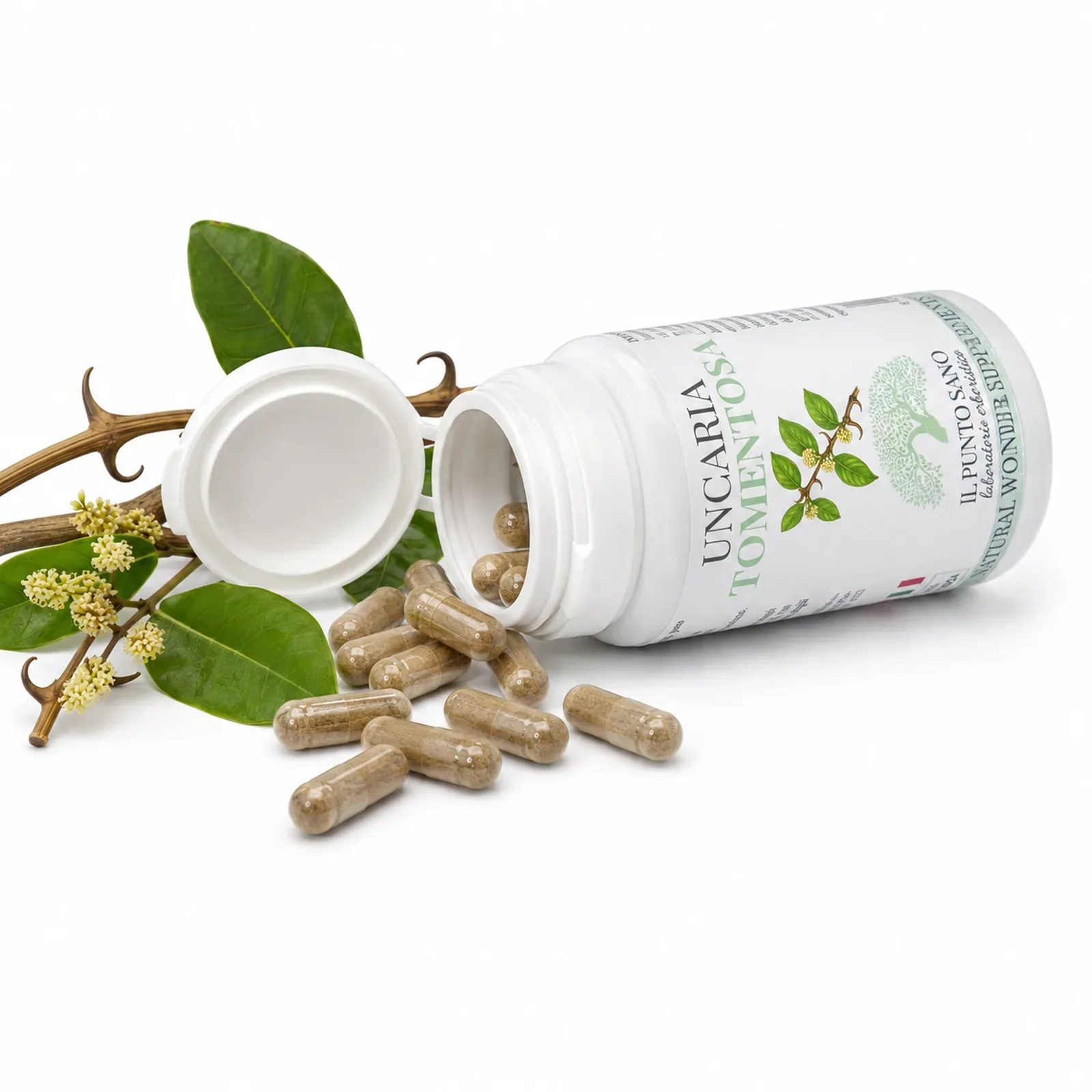 Uncaria Tomentosa – Flacone aperto con capsule e pianta officinale Uncaria Tomentosa Il Punto Sano con flacone aperto, capsule vegetali e pianta officinale, integratore alimentare a base di Uncaria tomentosa pensato per supportare le naturali difese dell’organismo, la funzionalità articolare e il benessere generale