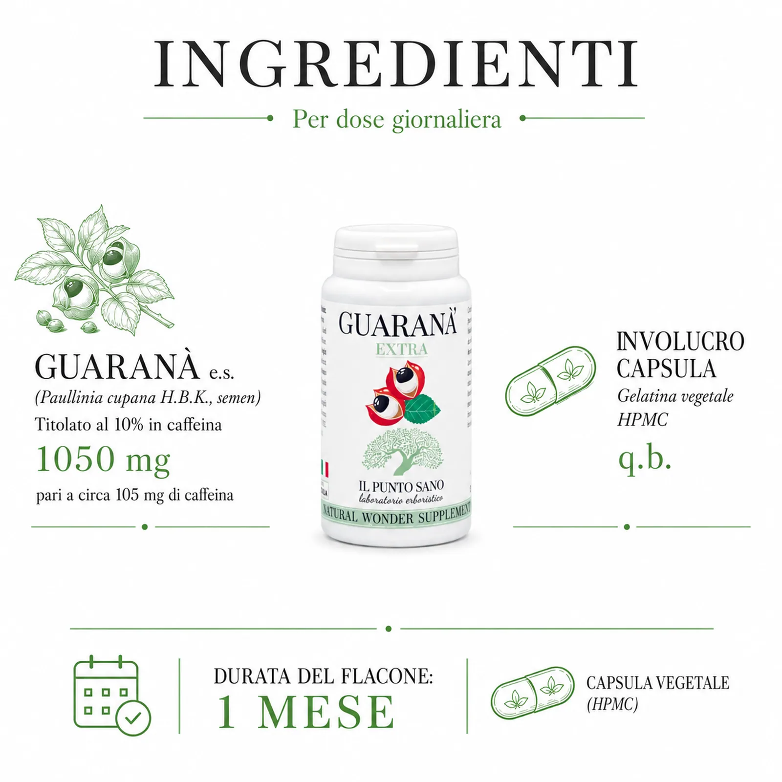 Ingredienti Guaranà Extra – Guaranà titolato in caffeina Infografica ingredienti di Guaranà Extra Il Punto Sano con guaranà estratto secco titolato al 10% in caffeina e capsula vegetale HPMC, integratore alimentare per supportare energia, vitalità e tono fisico-mentale