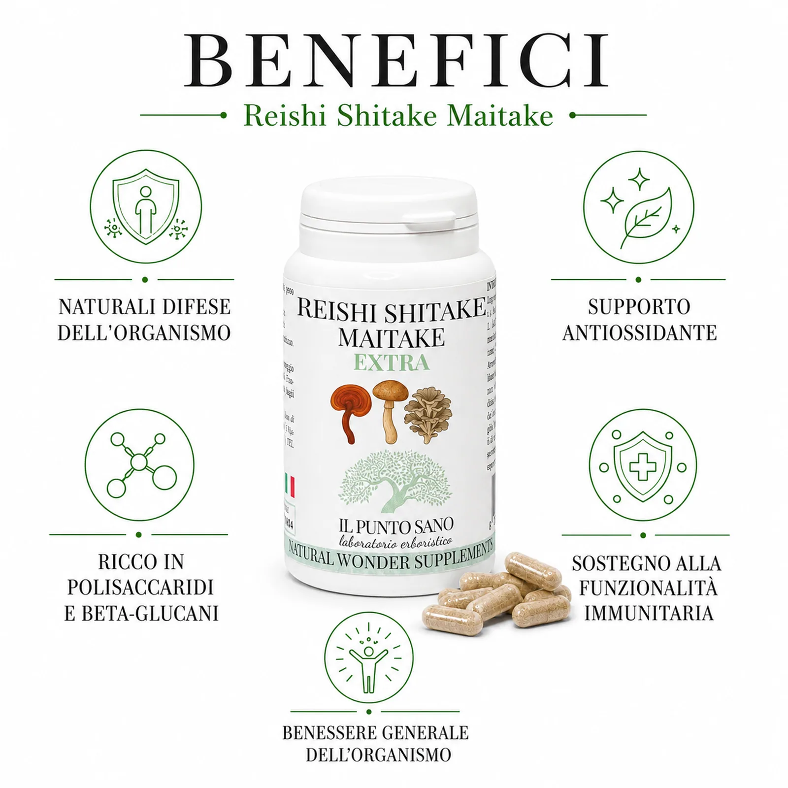 Benefici Reishi Shiitake Maitake Extra – Funghi officinali e benessere generale Infografica benefici di Reishi Shiitake Maitake Extra Il Punto Sano, integratore alimentare con funghi officinali titolati in polisaccaridi, pensato per accompagnare il benessere generale, l’equilibrio dell’organismo e la vitalità quotidiana