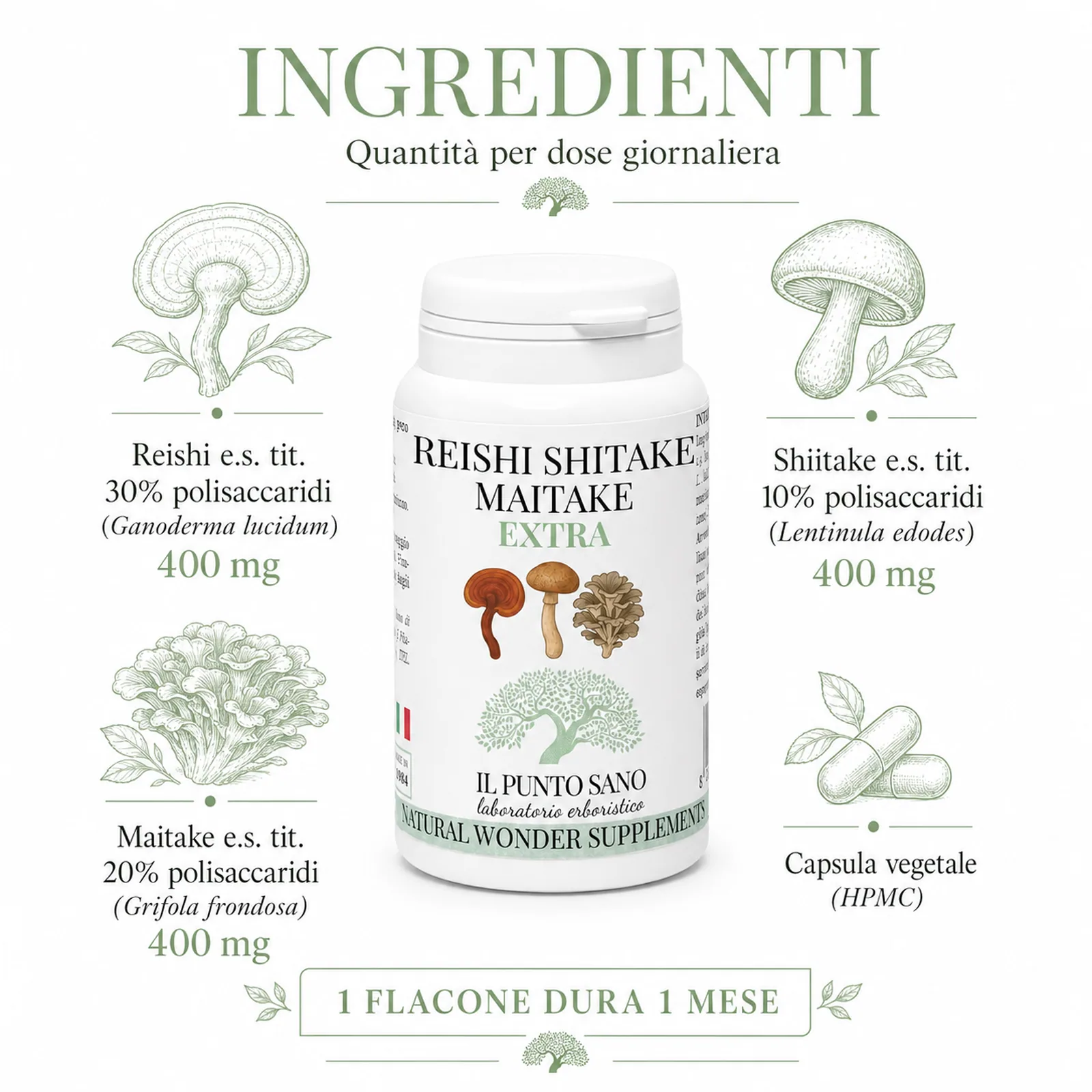 Ingredienti Reishi Shiitake Maitake Extra – Funghi officinali titolati Infografica ingredienti di Reishi Shiitake Maitake Extra Il Punto Sano con estratti secchi titolati in polisaccaridi di reishi, shiitake e maitake, integratore alimentare in capsule vegetali per il benessere generale e il supporto naturale dell’organismo