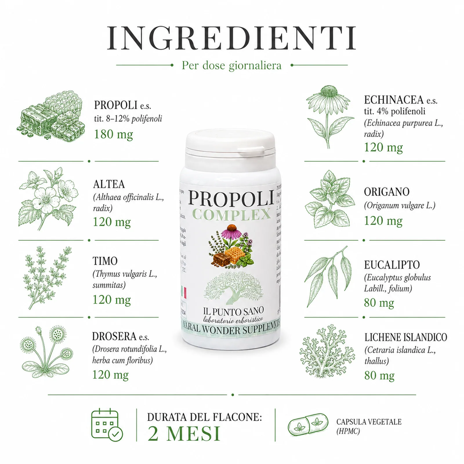 Ingredienti Propoli Complex – Propoli, echinacea e piante balsamiche Infografica ingredienti di Propoli Complex Il Punto Sano con propoli, altea, timo, drosera, echinacea, origano, eucalipto e lichene islandico, integratore alimentare in capsule vegetali per supportare le naturali difese, il benessere della gola e le vie respiratorie