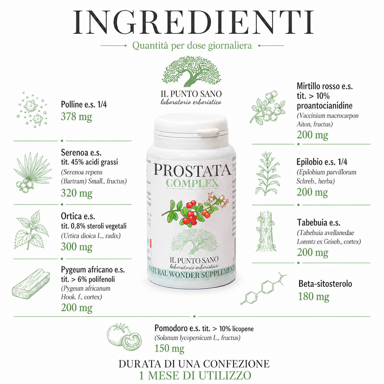 Ingredienti Prostata Complex – Formula per prostata e vie urinarie Infografica ingredienti di Prostata Complex Il Punto Sano con polline, serenoa, ortica, pygeum africano, mirtillo rosso, epilobio, tabebuia, beta-sitosterolo e pomodoro per supportare il benessere della prostata e la funzionalità delle vie urinarie