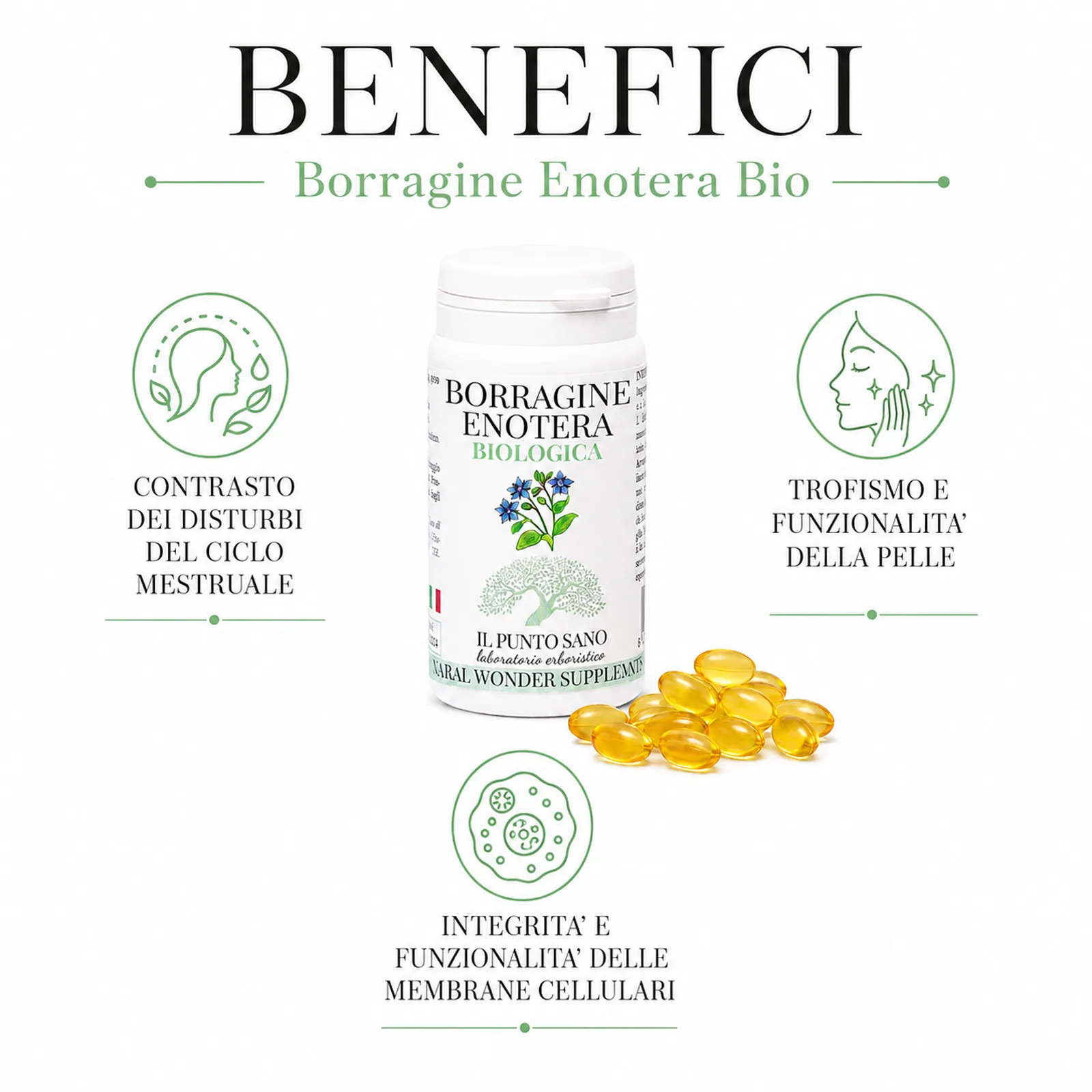 Benefici Borragine Enotera Bio – Pelle ed equilibrio femminile Infografica benefici di Borragine Enotera Bio Il Punto Sano, integratore biologico in perle con oli vegetali per supportare il benessere della pelle, il trofismo cutaneo, le membrane cellulari e il fisiologico equilibrio del ciclo mestruale