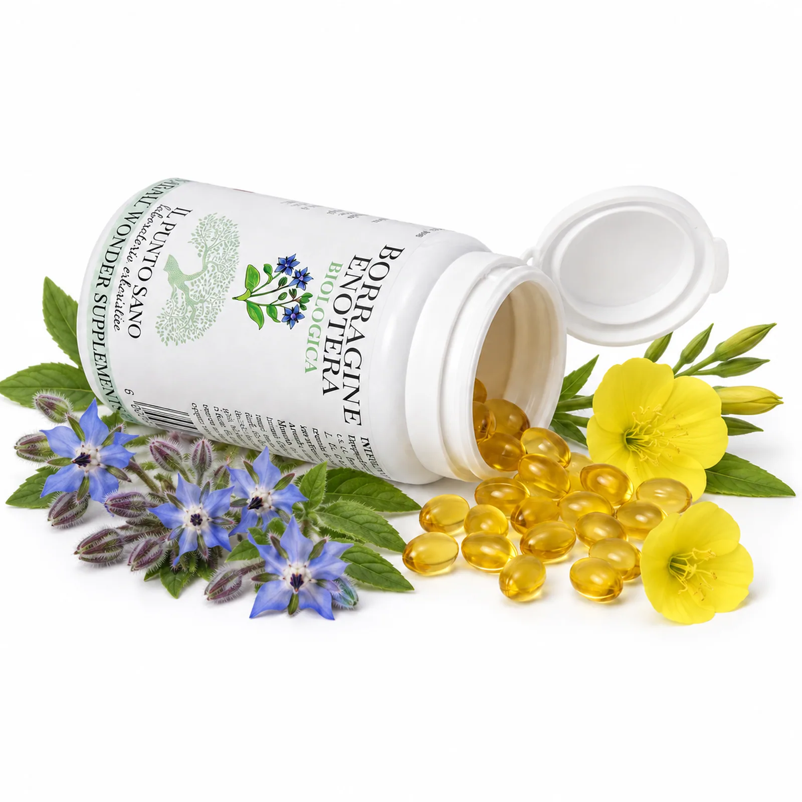 Borragine Enotera Biologica – Flacone aperto con perle oleose Borragine Enotera Biologica Il Punto Sano con flacone aperto, perle oleose gialle e fiori di borragine ed enotera, integratore biologico per supportare il benessere della pelle e il fisiologico equilibrio femminile