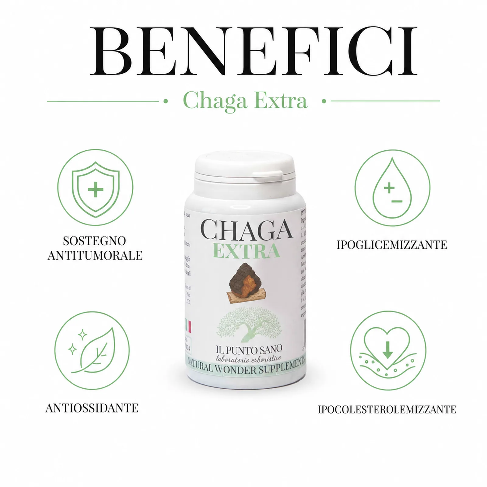 Benefici Chaga Extra – Betaglucani, vitamina C e benessere generale Infografica benefici di Chaga Extra Il Punto Sano, integratore alimentare con fungo Chaga titolato in betaglucani e Rosa canina fonte di vitamina C per il supporto delle naturali difese, la protezione antiossidante e il benessere generale