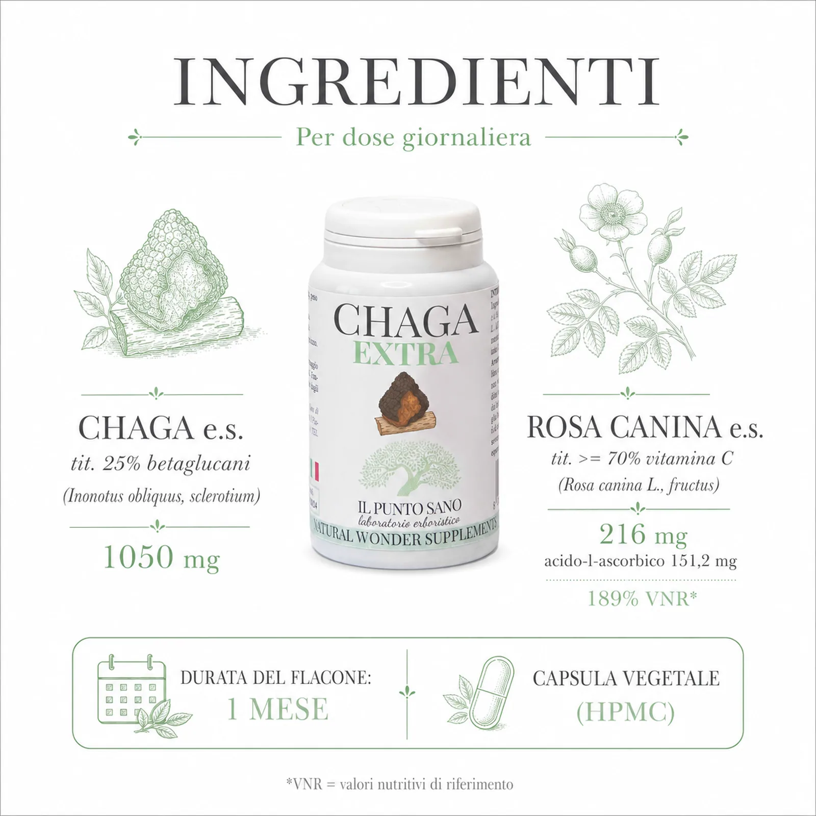Ingredienti Chaga Extra – Chaga, Rosa canina e vitamina C Infografica ingredienti di Chaga Extra Il Punto Sano con Chaga estratto secco titolato al 25% in betaglucani, Rosa canina titolata in vitamina C e capsula vegetale HPMC per il benessere generale e il supporto delle naturali difese