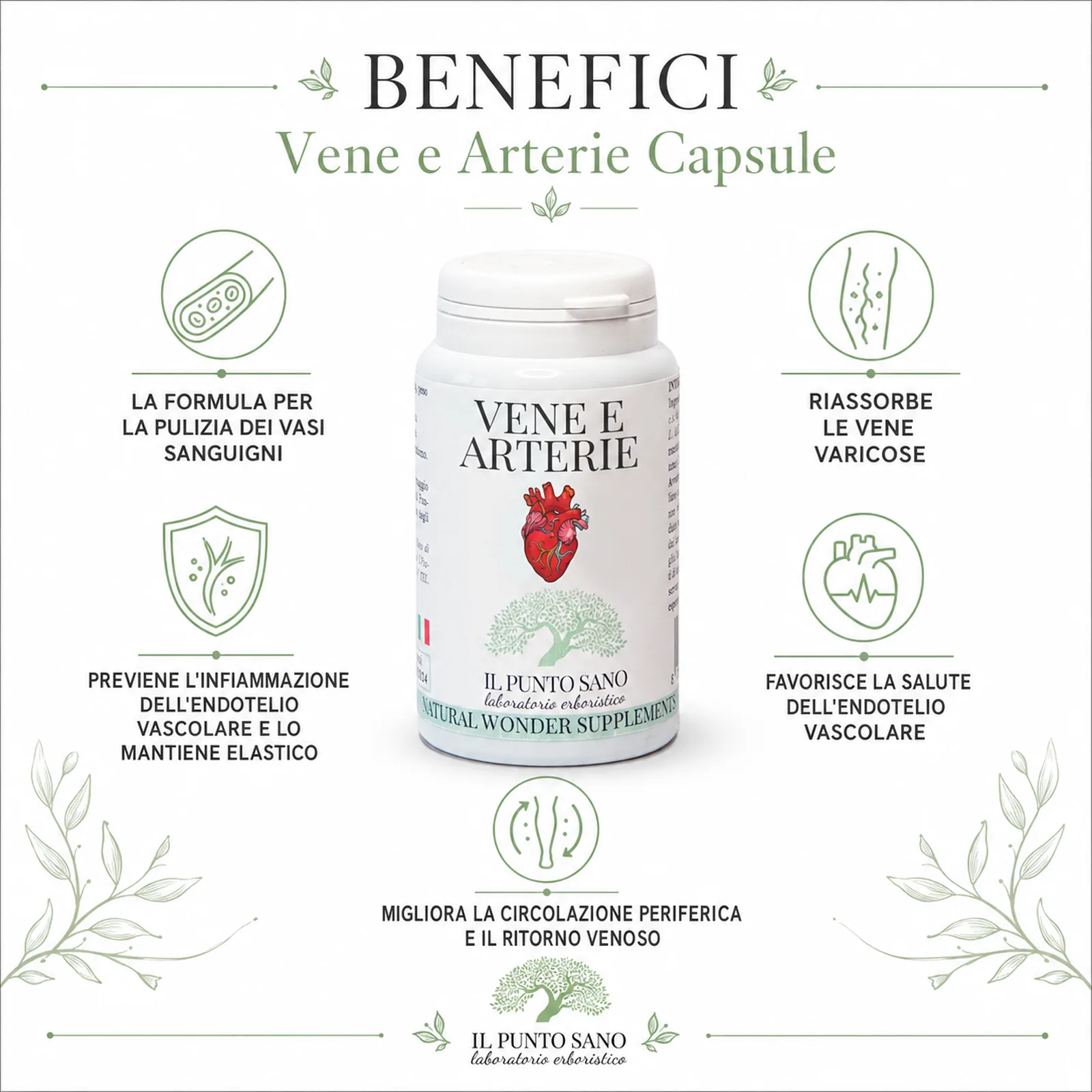 Benefici Vene e Arterie Capsule – Circolazione e benessere vascolare Infografica benefici di Vene e Arterie Capsule Il Punto Sano, integratore alimentare formulato per supportare la circolazione periferica, il ritorno venoso, il microcircolo e il benessere dei vasi sanguigni