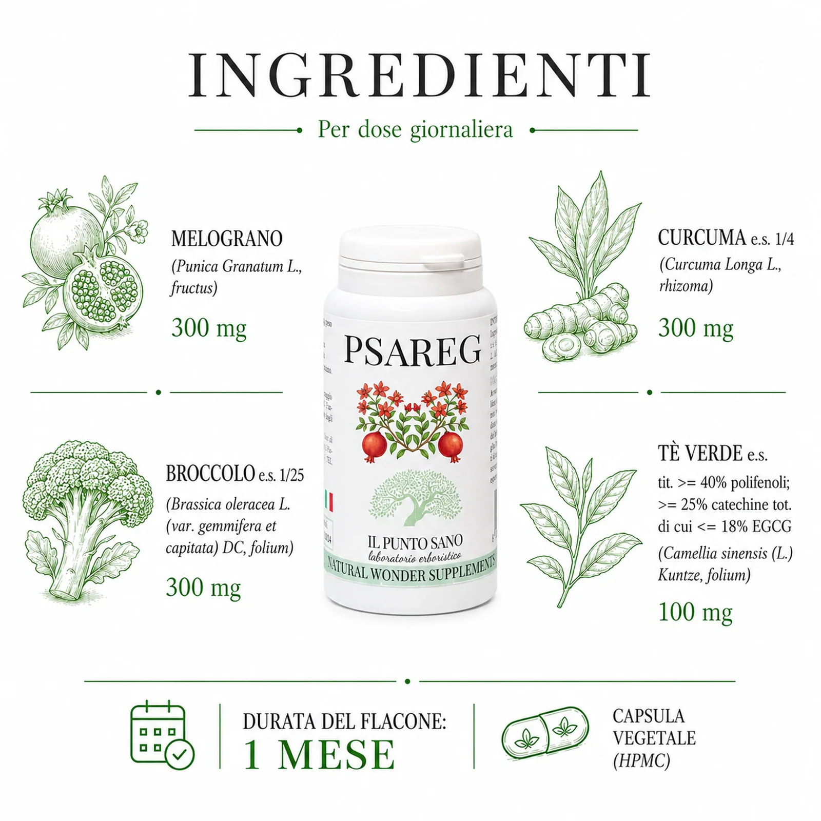 Ingredienti PSAREG – Melograno, curcuma, broccolo e tè verde Infografica ingredienti di PSAREG Il Punto Sano con melograno, broccolo, curcuma e tè verde, integratore alimentare in capsule vegetali formulato per supportare il benessere prostatico, l’equilibrio maschile e la protezione antiossidante
