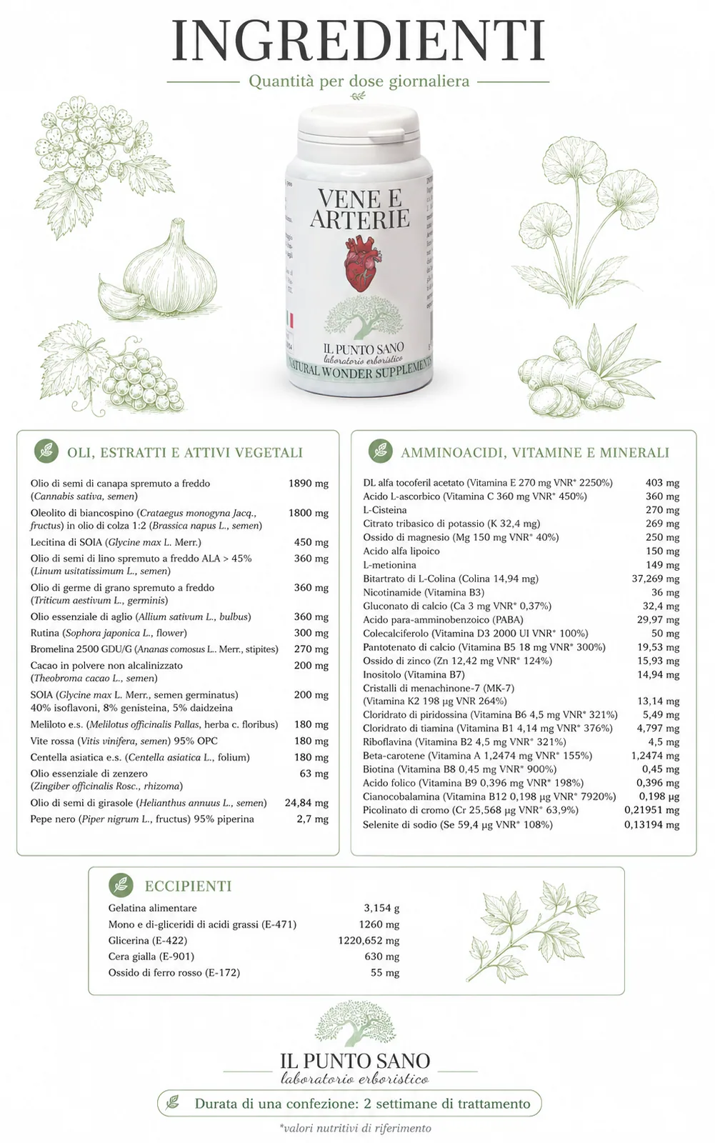 Ingredienti Vene e Arterie Perle – Quantità per dose giornaliera Infografica ingredienti Vene e Arterie Perle Il Punto Sano con oli vegetali, estratti, aminoacidi, vitamine, minerali ed eccipienti per dose giornaliera
