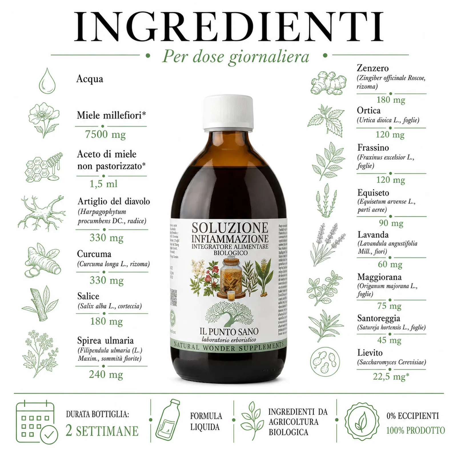 Infografica ingredienti di Soluzione Infiammazione Il Punto Sano con bottiglia centrale e composizione per dose giornaliera: miele millefiori, aceto di miele non pastorizzato, artiglio del diavolo, curcuma, salice, spirea ulmaria, zenzero, ortica, frassino, equiseto, lavanda, maggiorana, santoreggia e lievito.